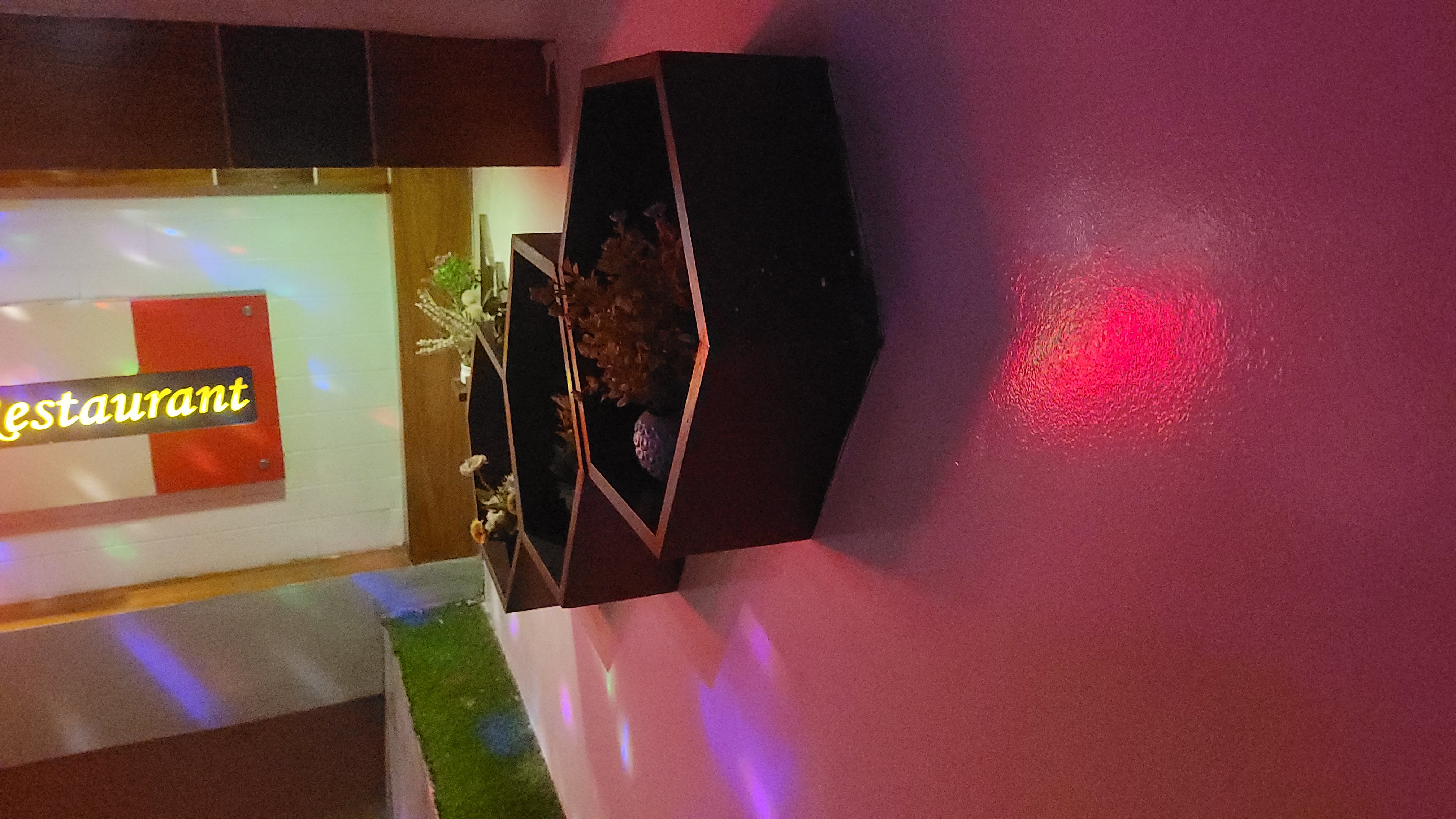 20260324_185459.jpg