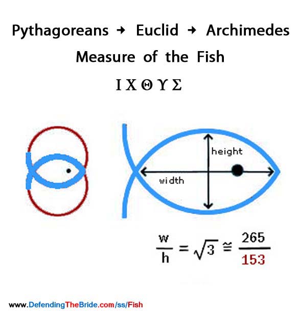 153_fish.jpg