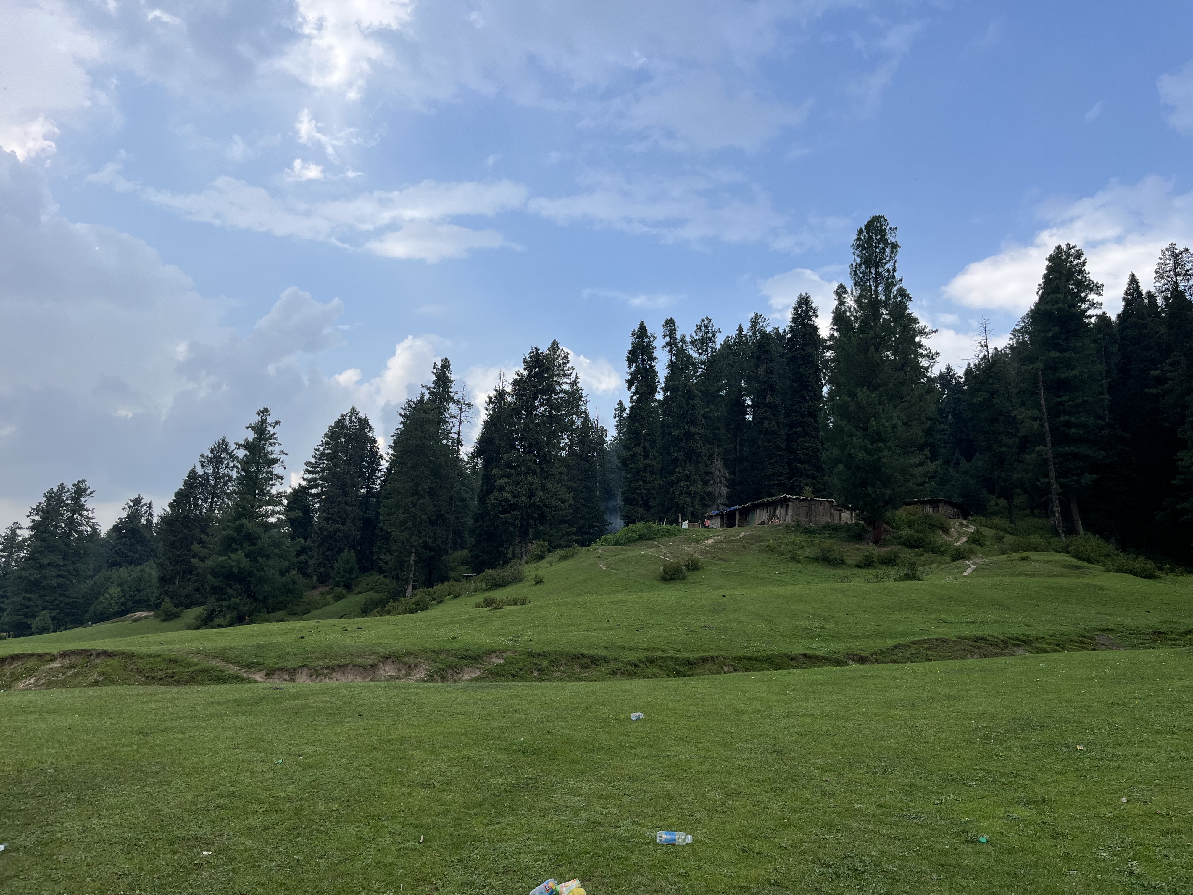 IMG_1062.jpeg
