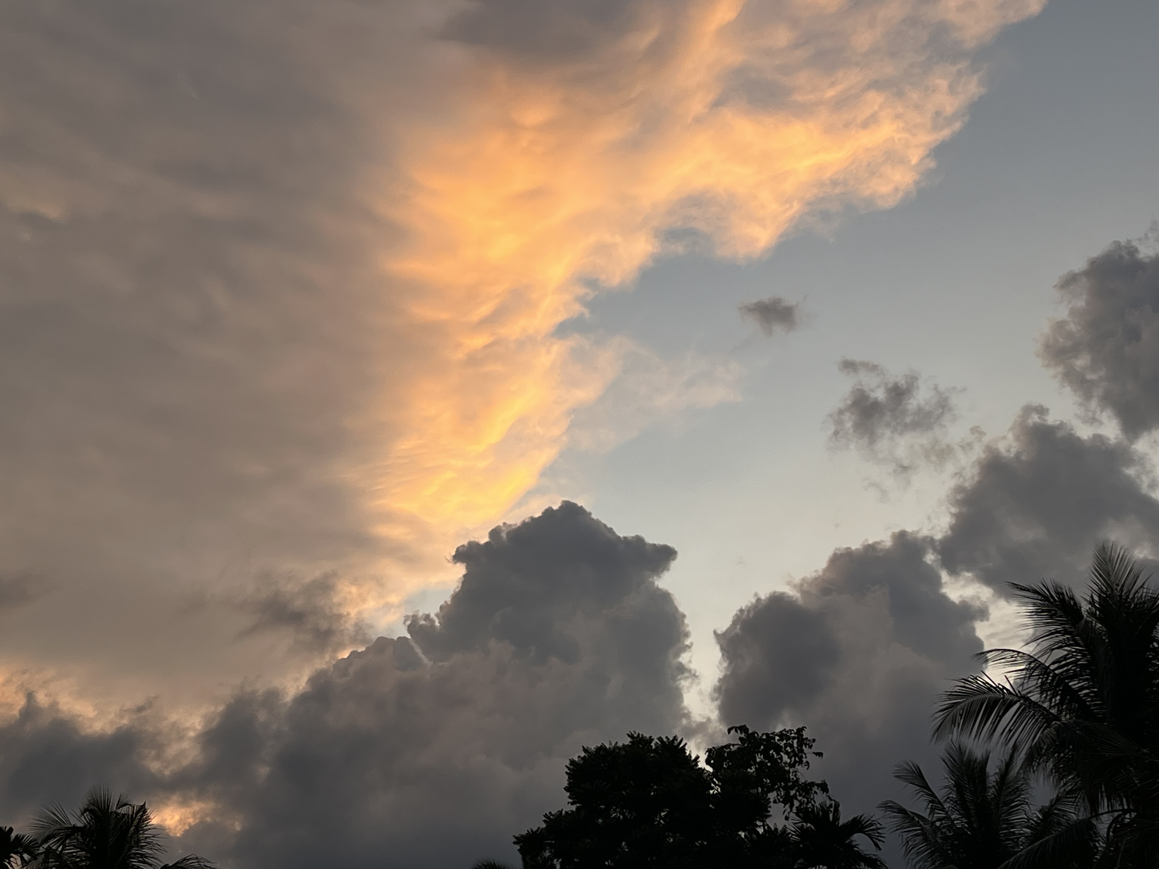 IMG_0386.jpeg