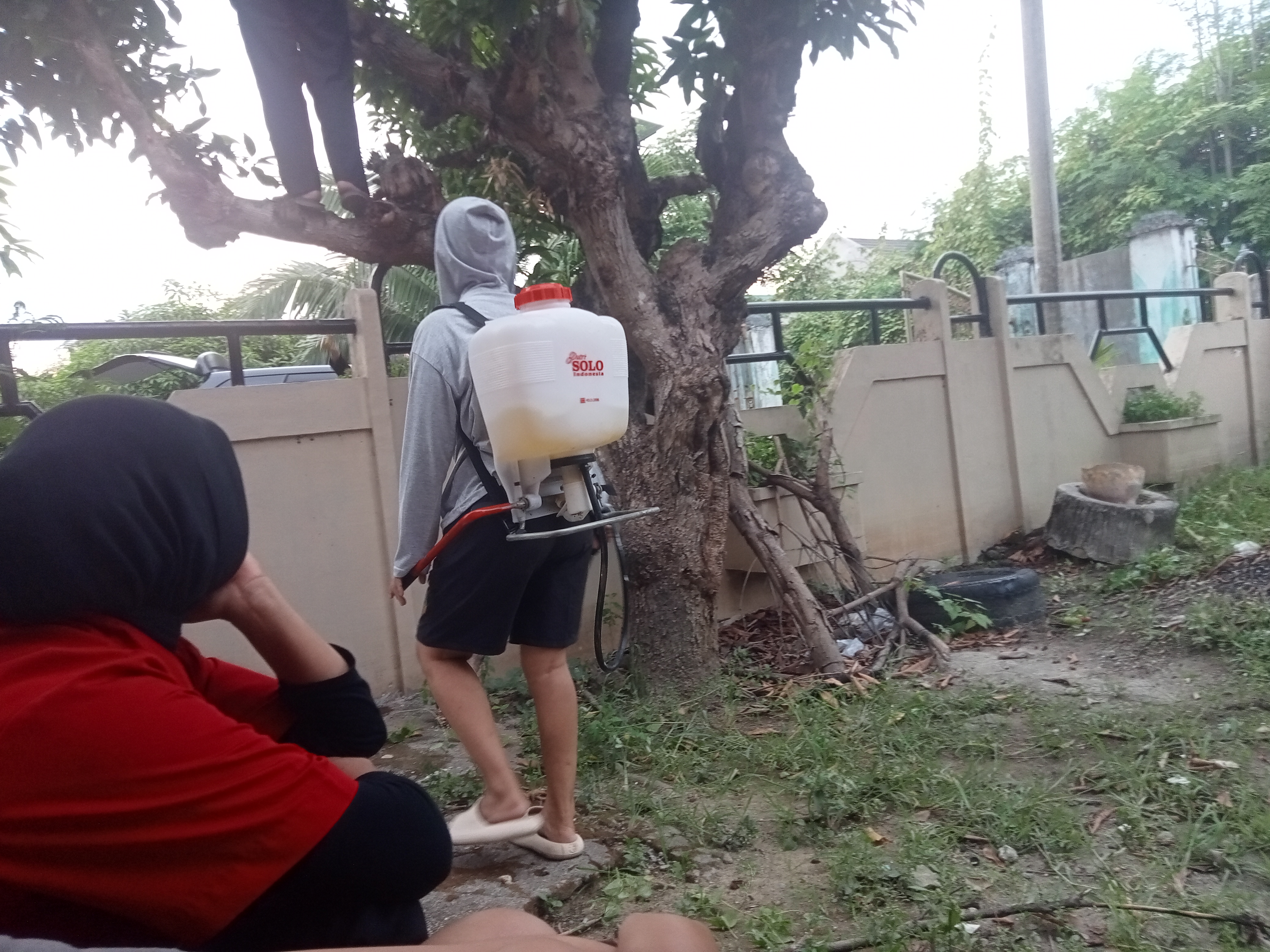 IMG20260421180918.jpg