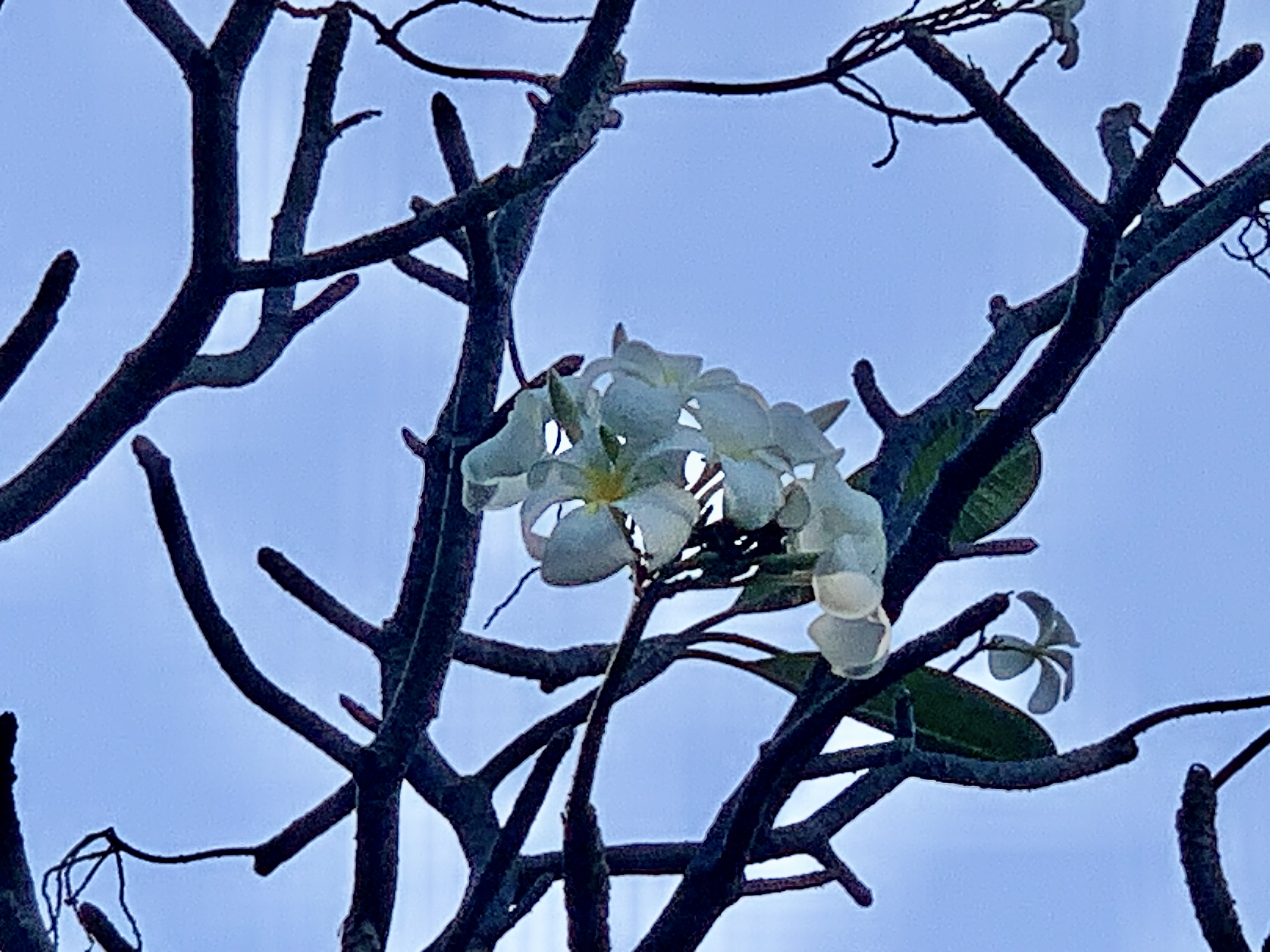 nature701.jpg