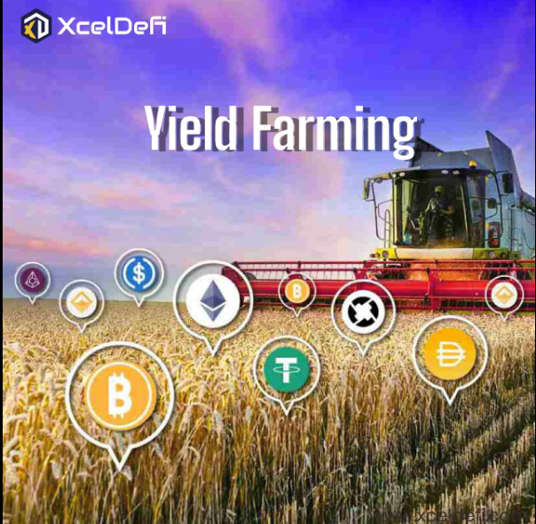 farm.png