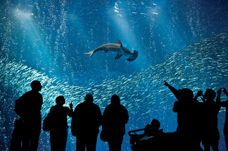 Monterey3.jpg