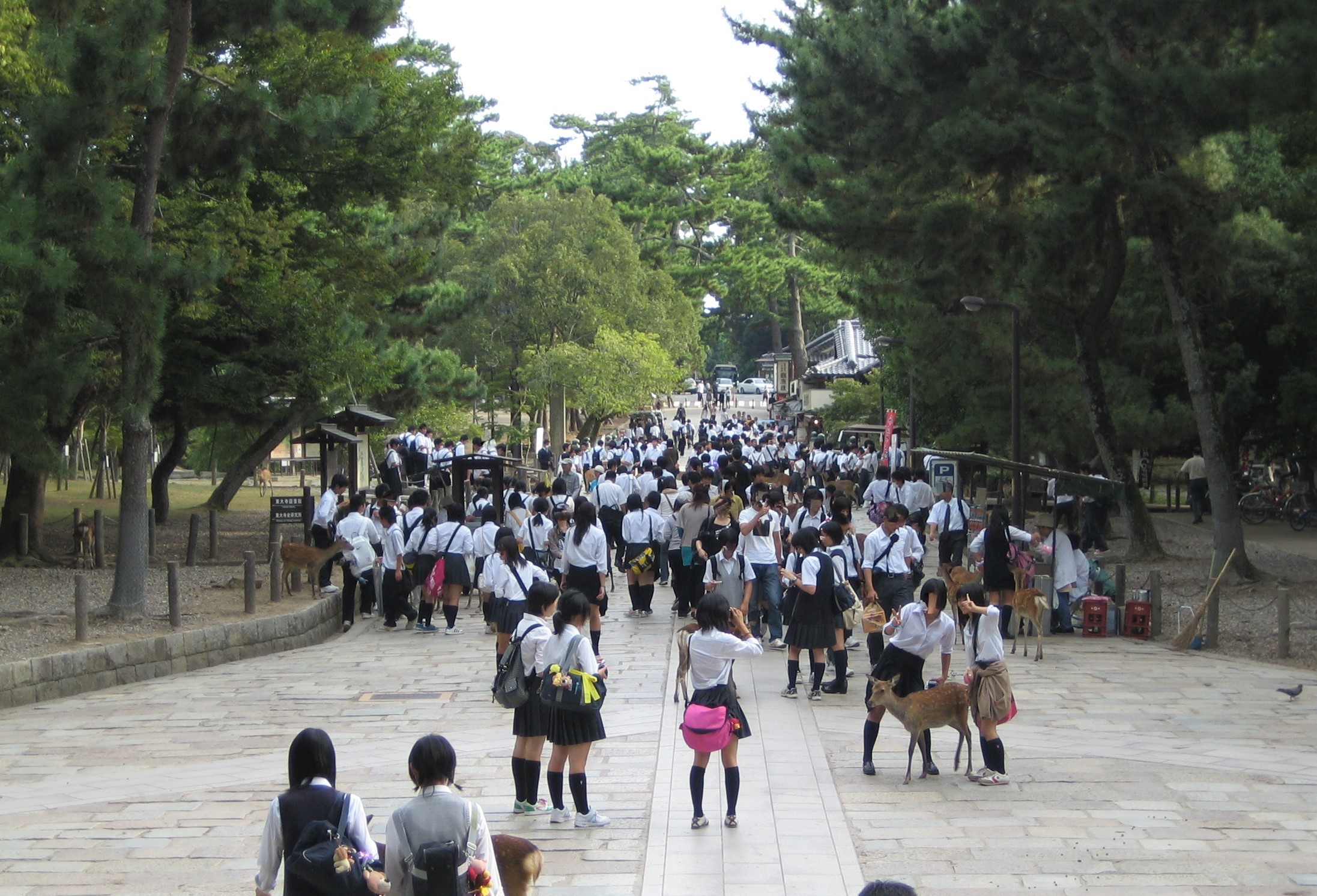 617 before todai-ji (7).jpg