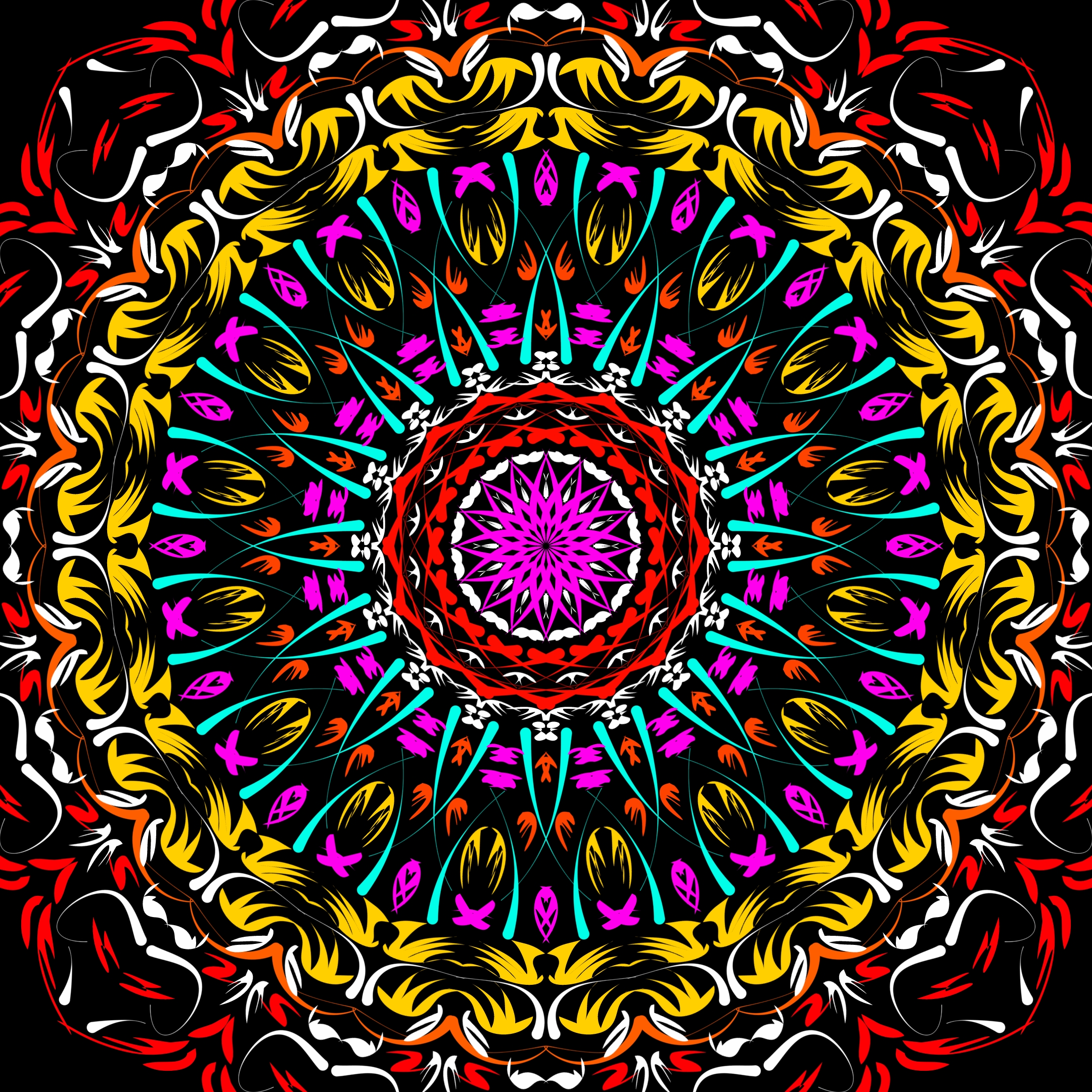 fvvf5 (20241215102027).jpg