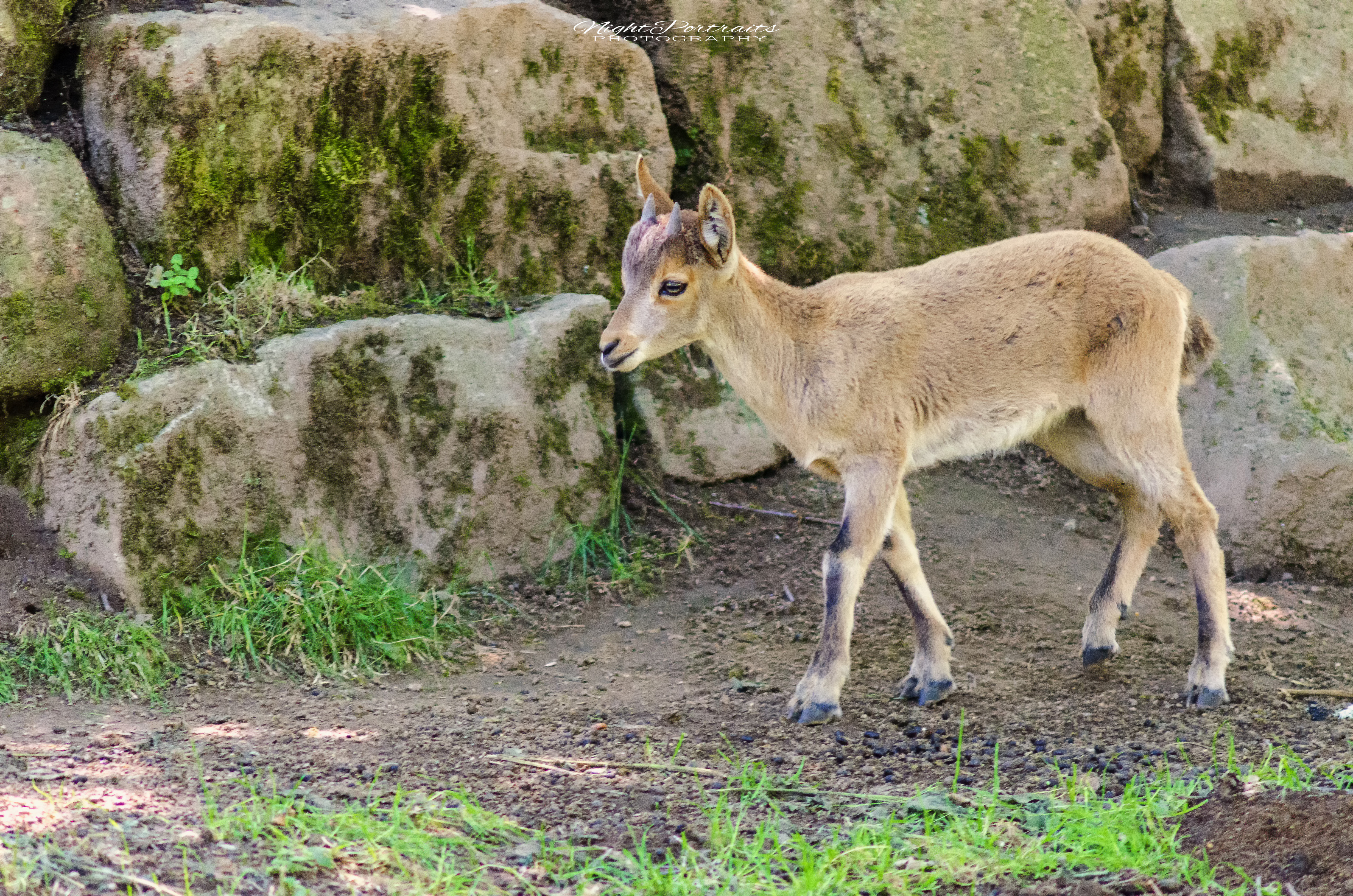 DSC_5214.jpg