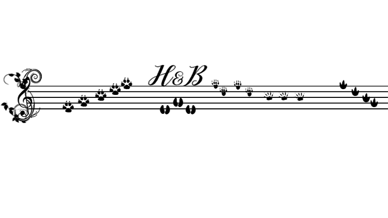 SEPARADOR-2.png