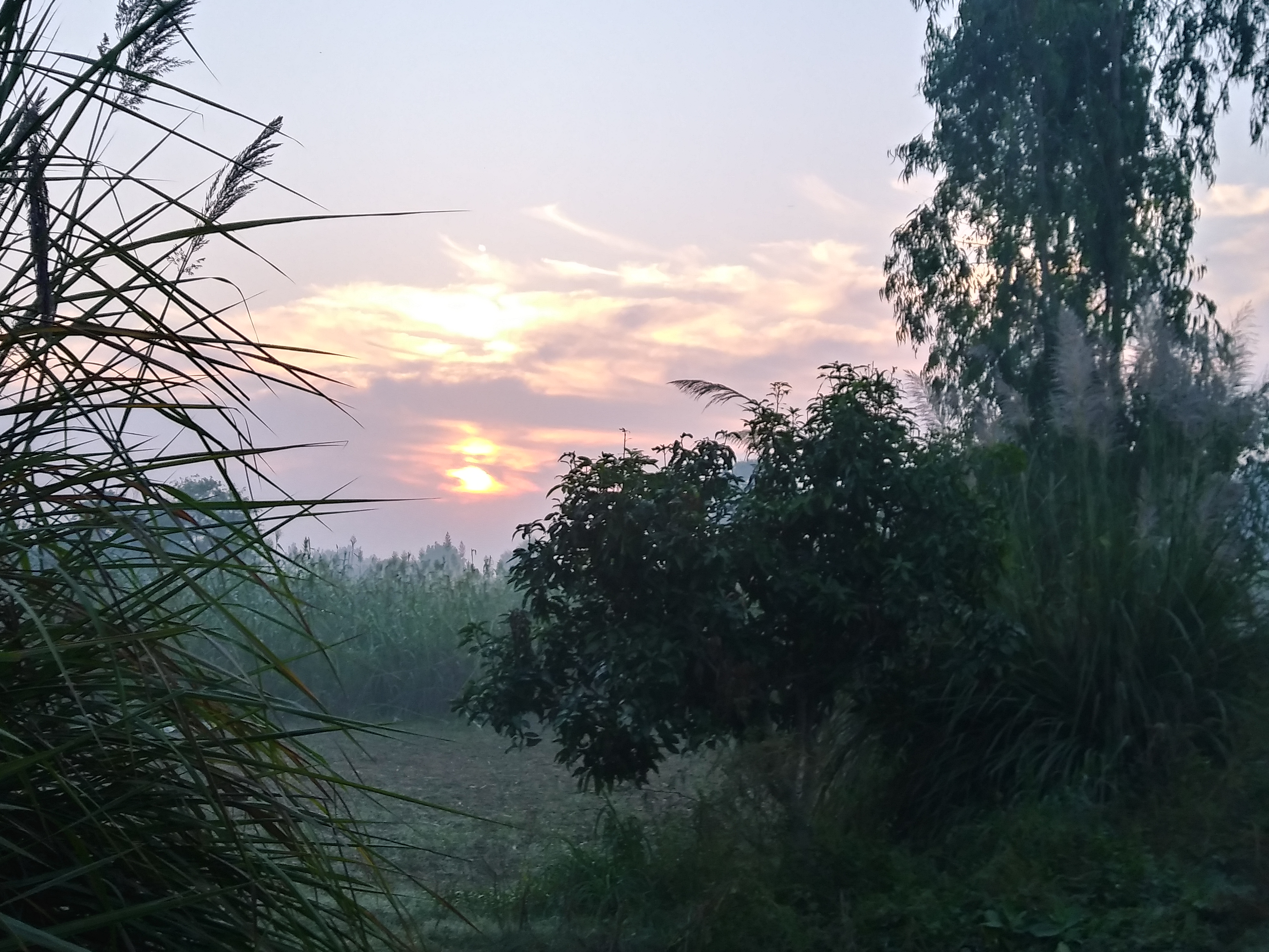 20191020_064859_HDR.jpg
