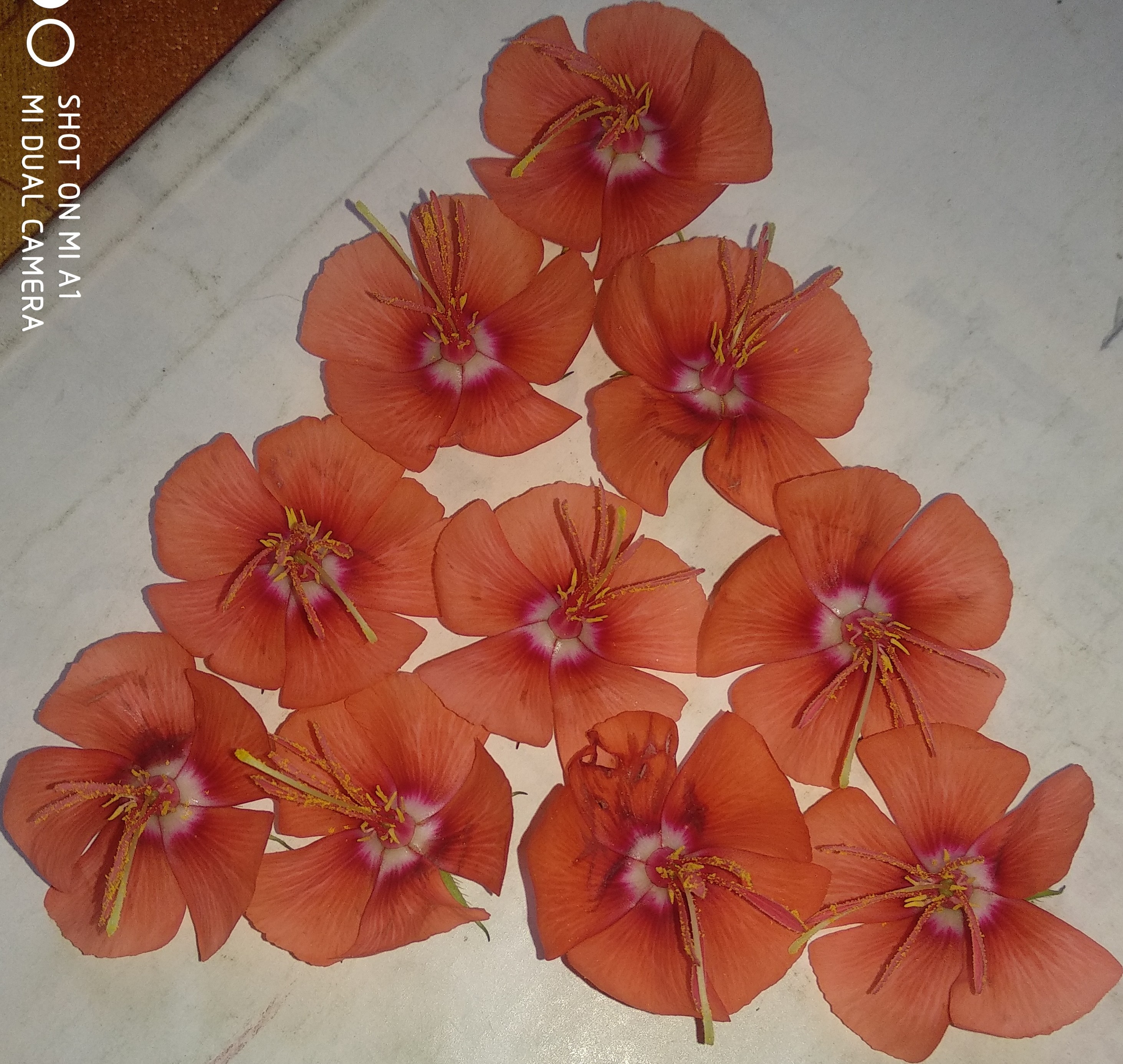 IMG_20190914_140956~3.jpg