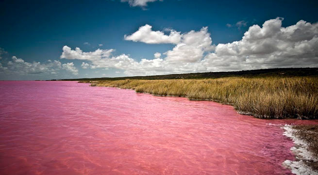 Retba7.jpg