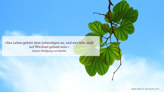 »Das Leben gehört dem Lebendigen an, und wer lebt, muß auf Wechsel gefasst sein.«Johann Wolfgang von GoetheDeutscher Dichter»Wer hohe Türme.png