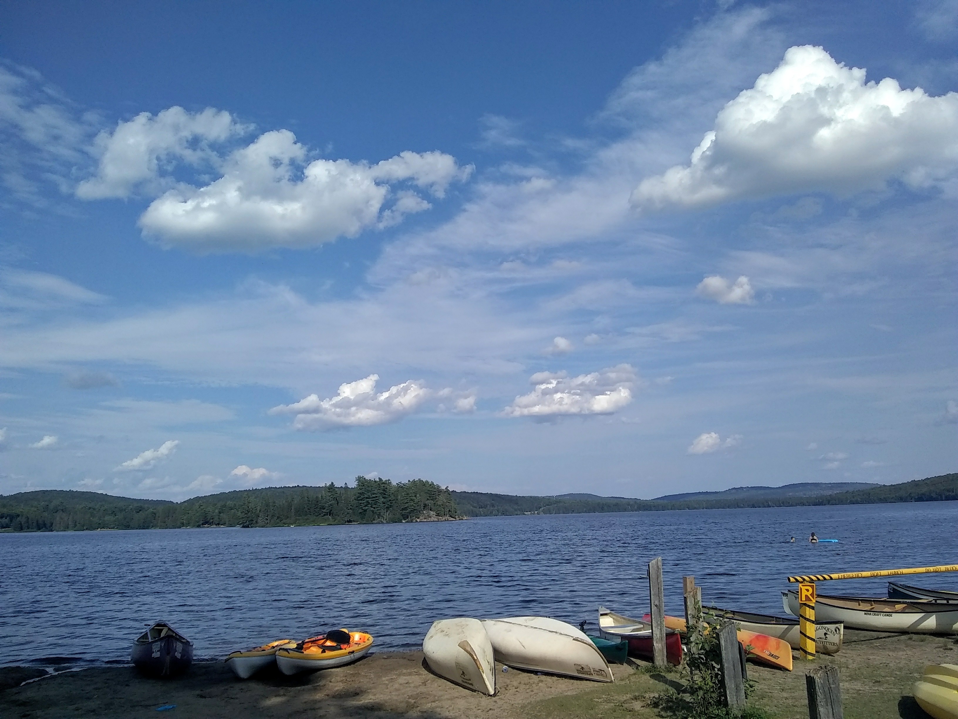 Algonquin 4.jpg