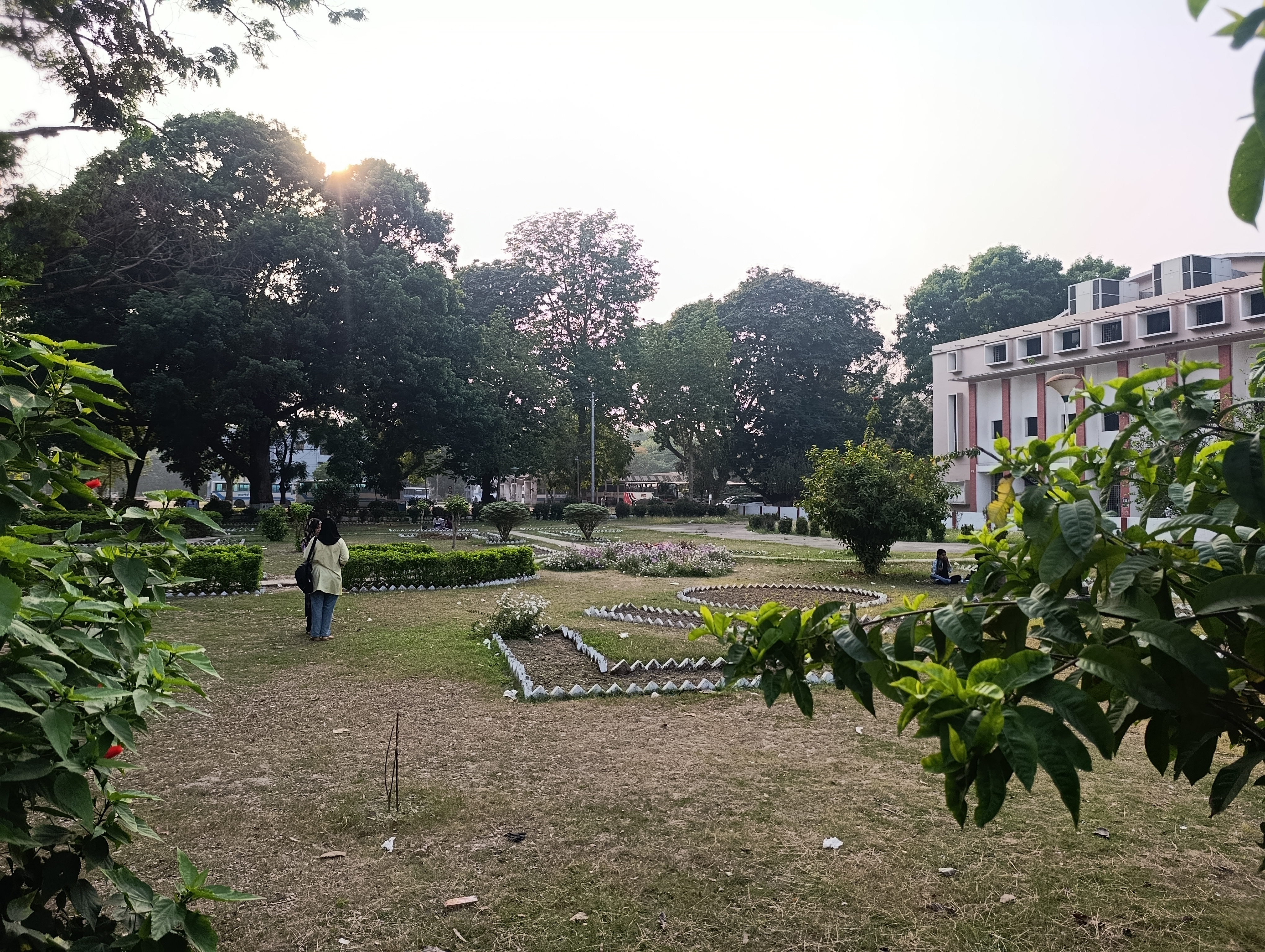 1000045878.jpg