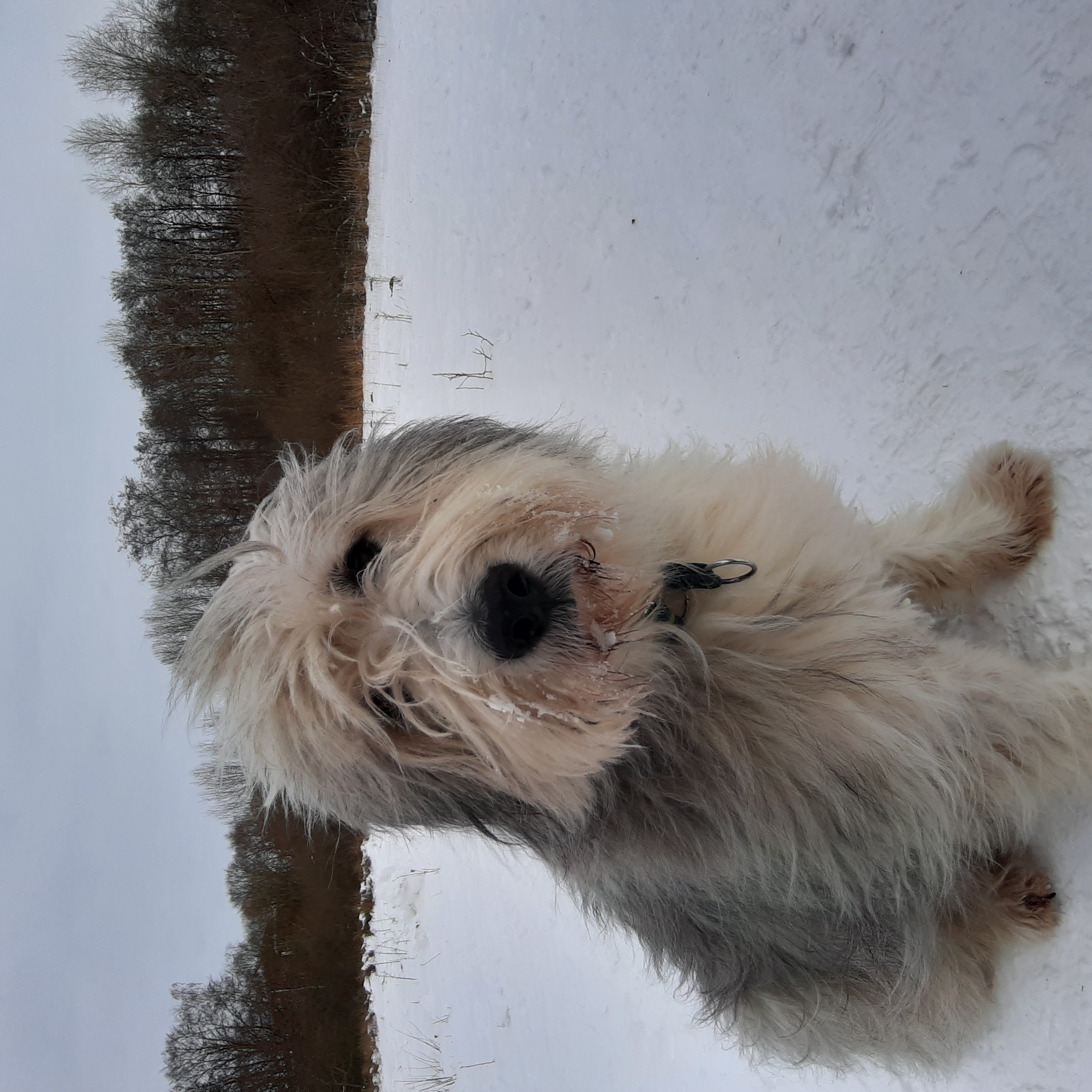 Enspanntertag (2).jpg