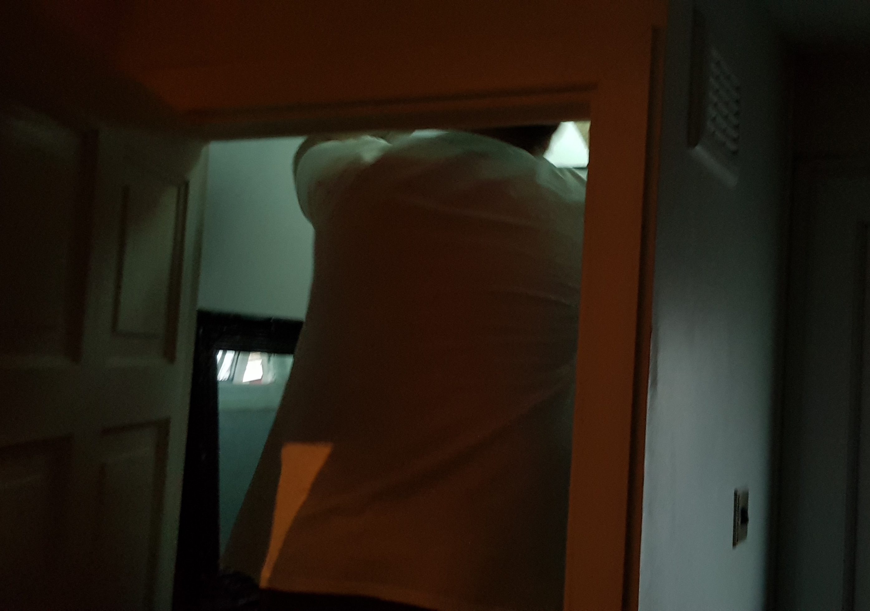 20181215_151319.jpg