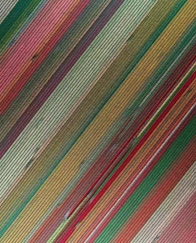 a50a254e61260c2c923eb98e6c3700a.jpg