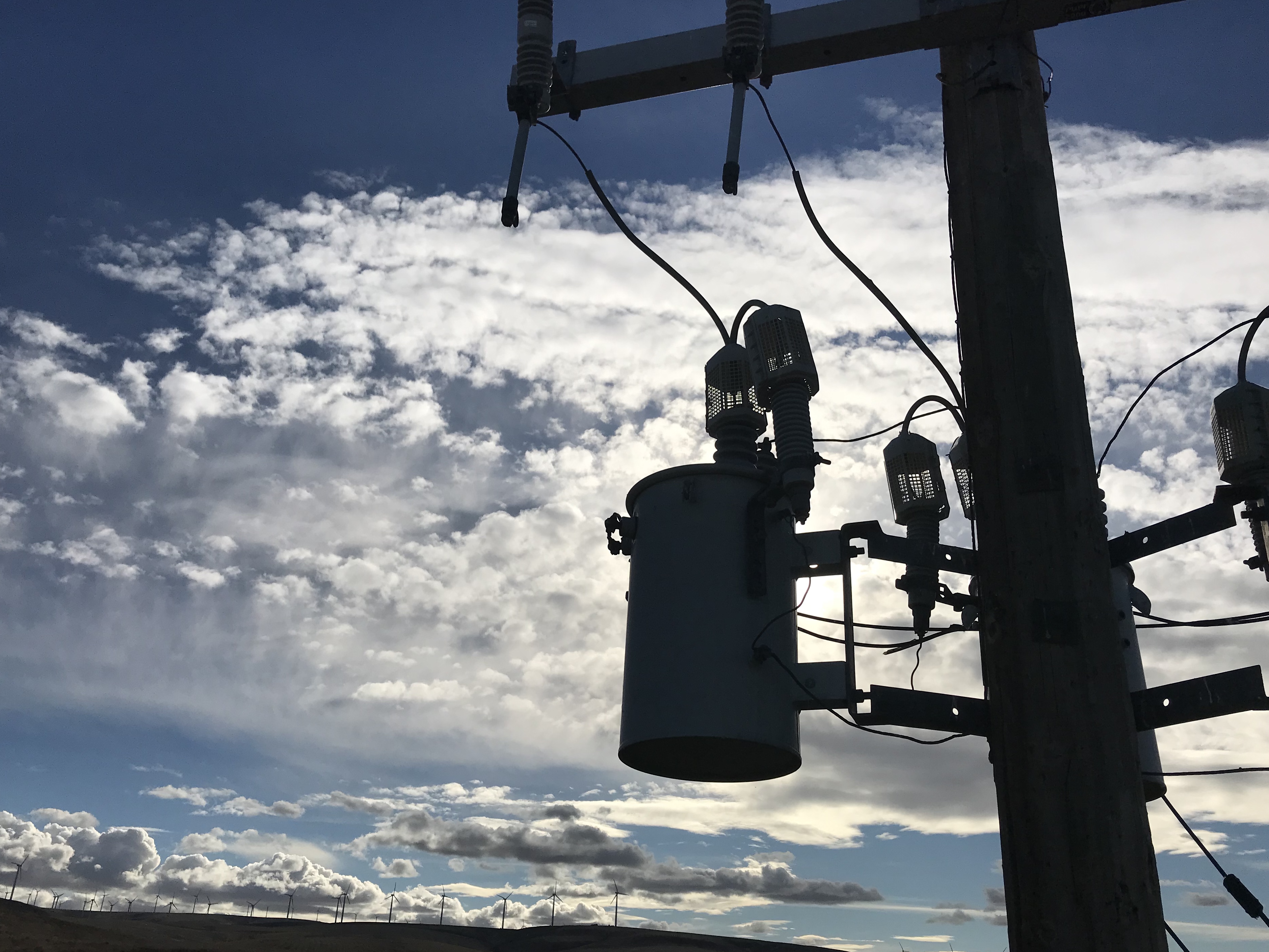 Splatts’ Smartphone Snaps