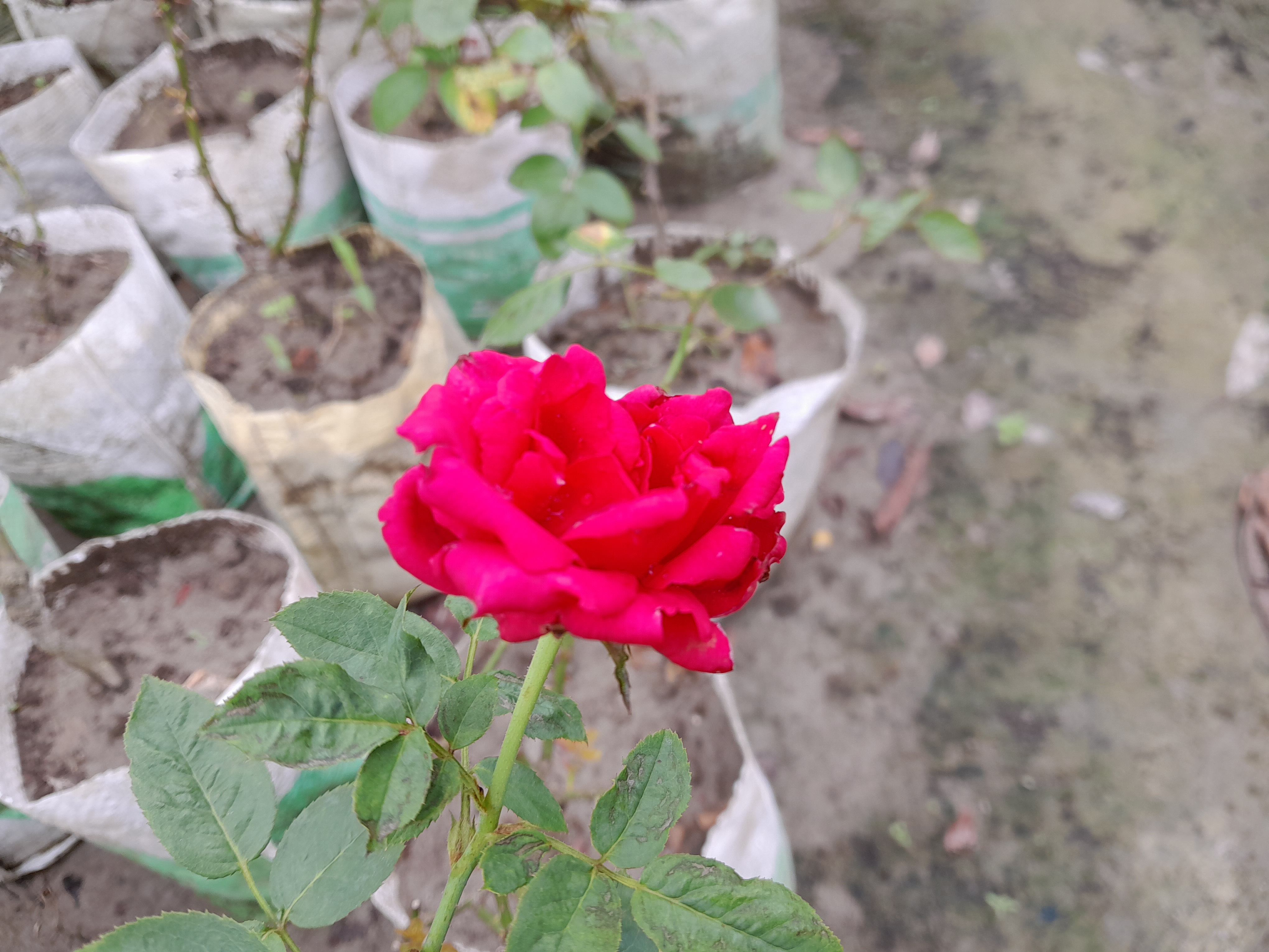 20230912_110240.jpg