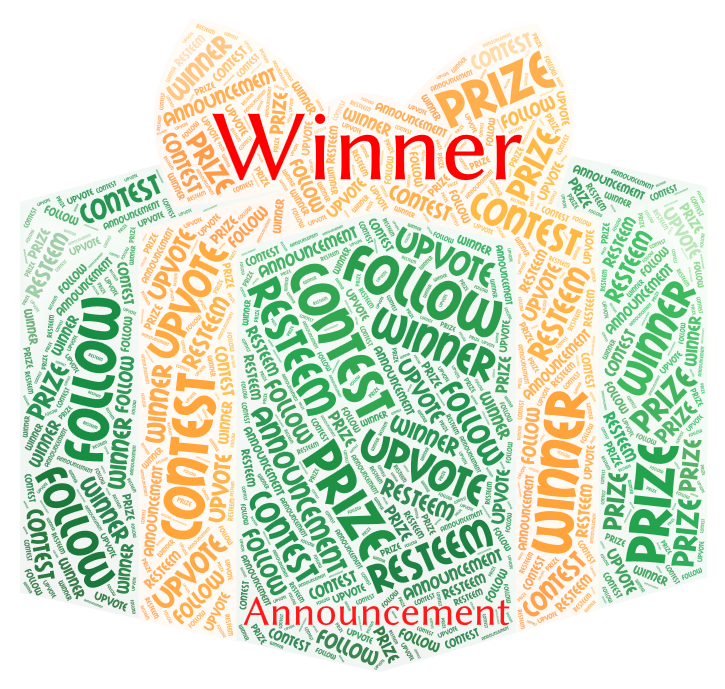 contest winner 02b.png