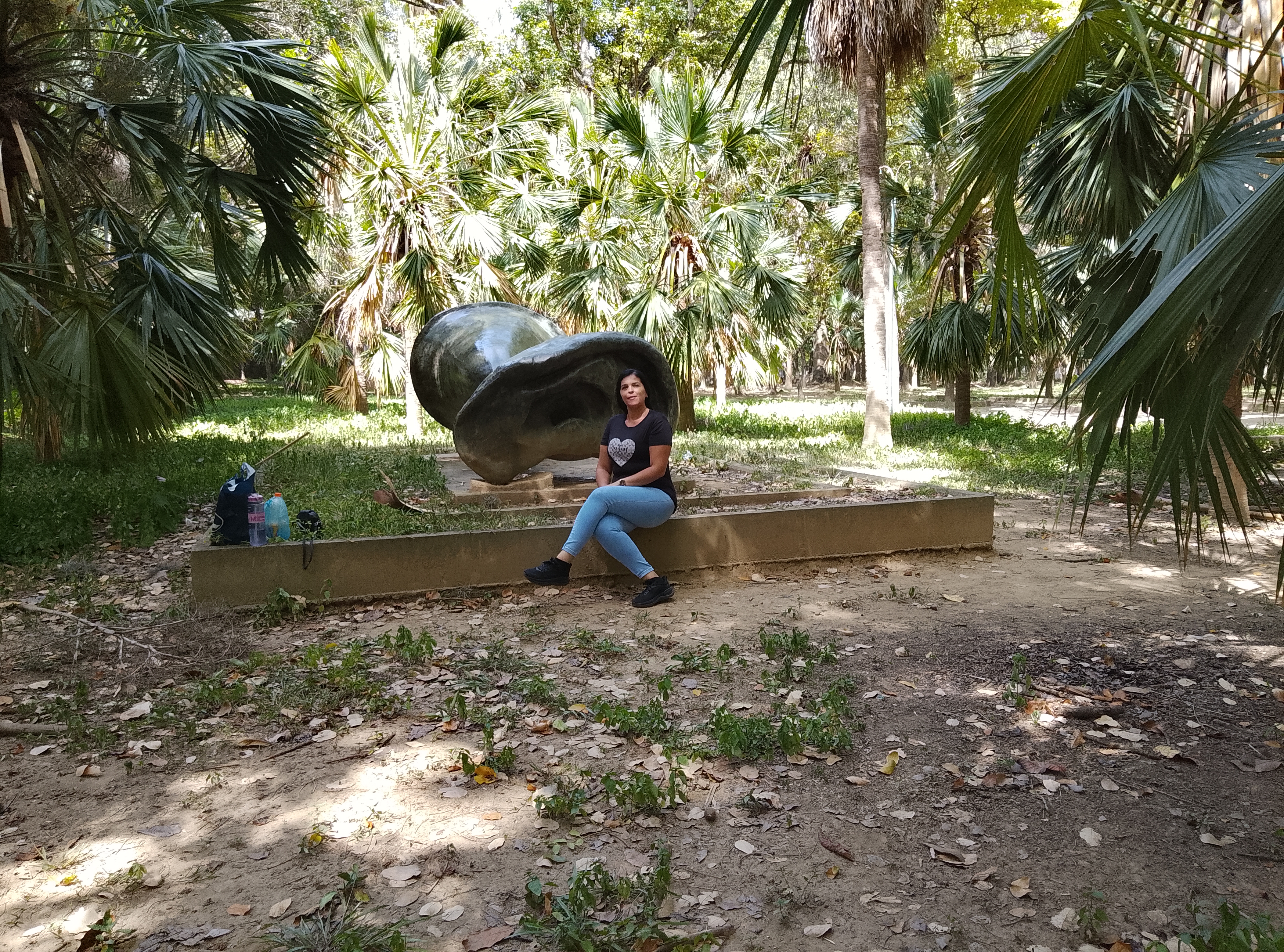 144962.jpg