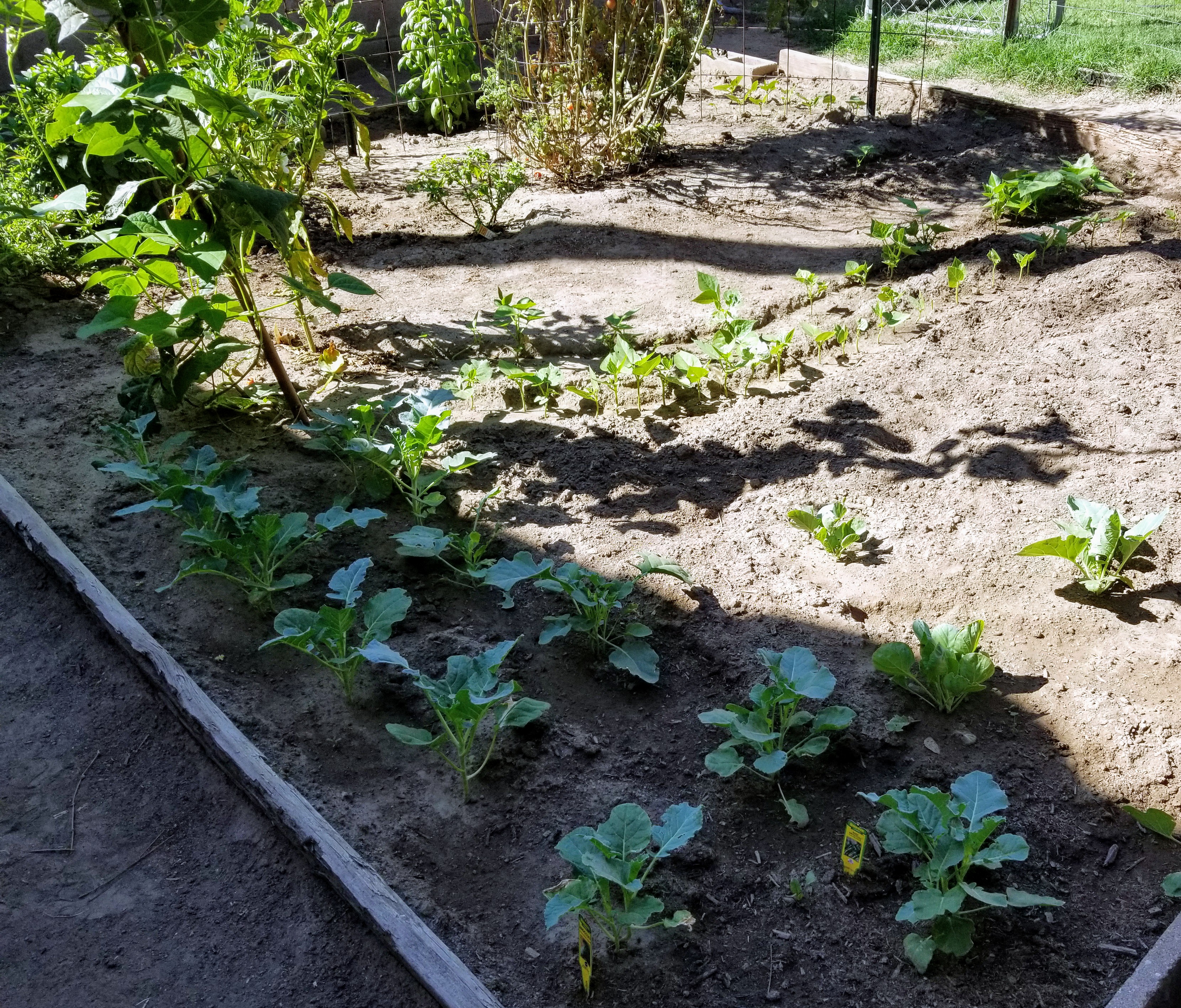 20180926_104153~2.jpg