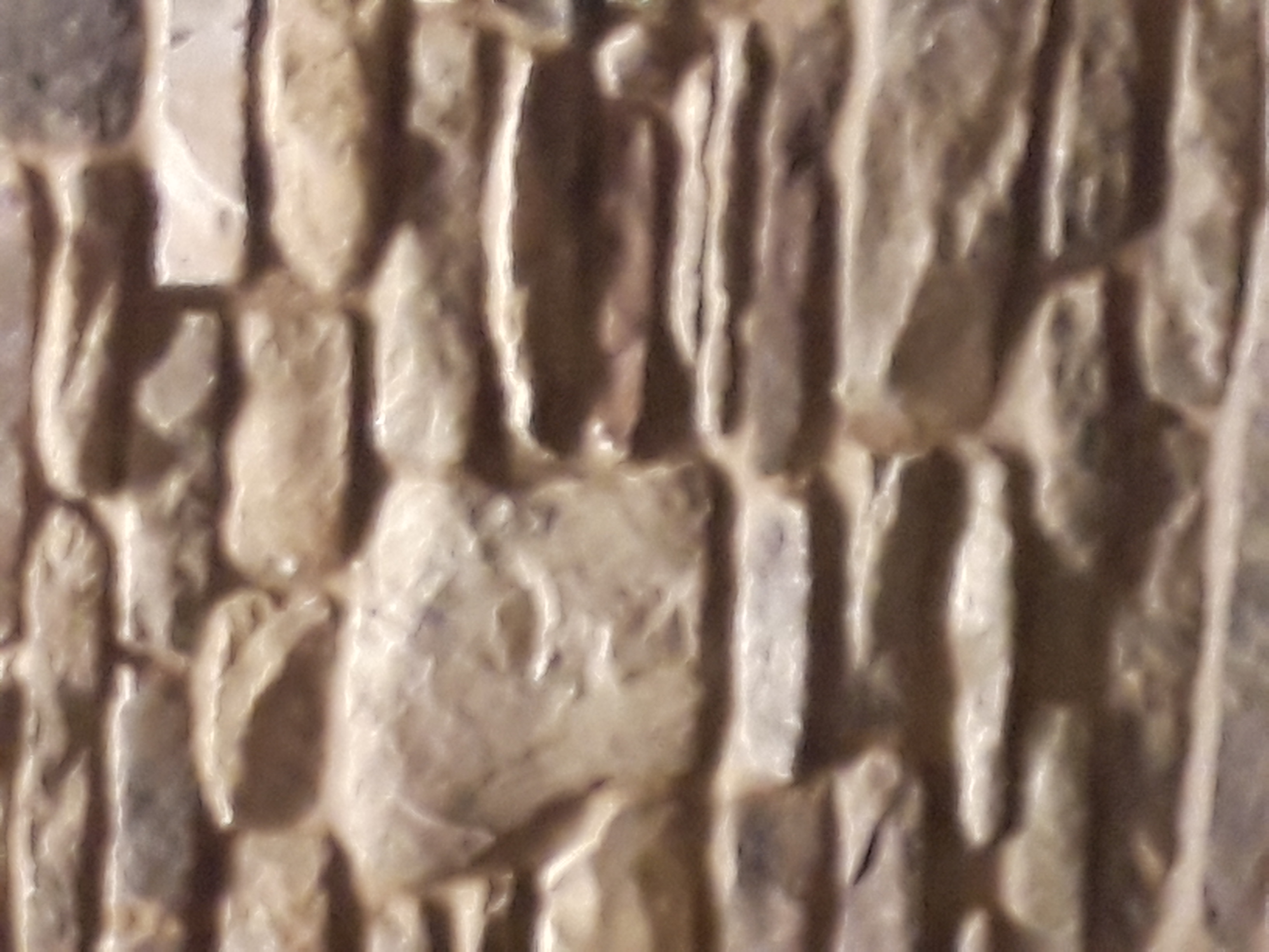 20180816_183001.jpg