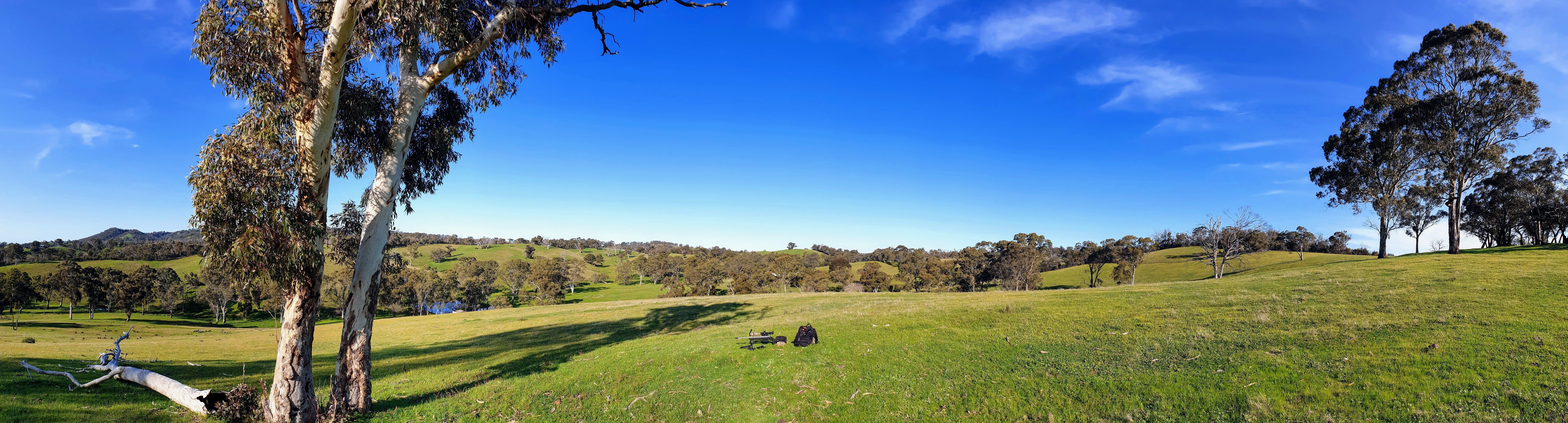 20190926_161435_2 (2).jpg