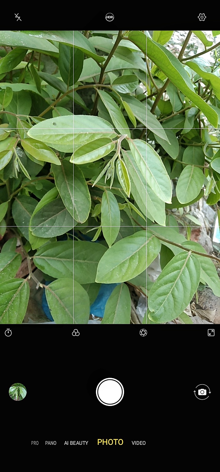Screenshot_20230516_145016-01.jpeg