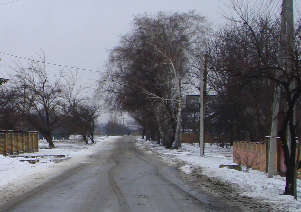 DSC07289-22222222.jpg