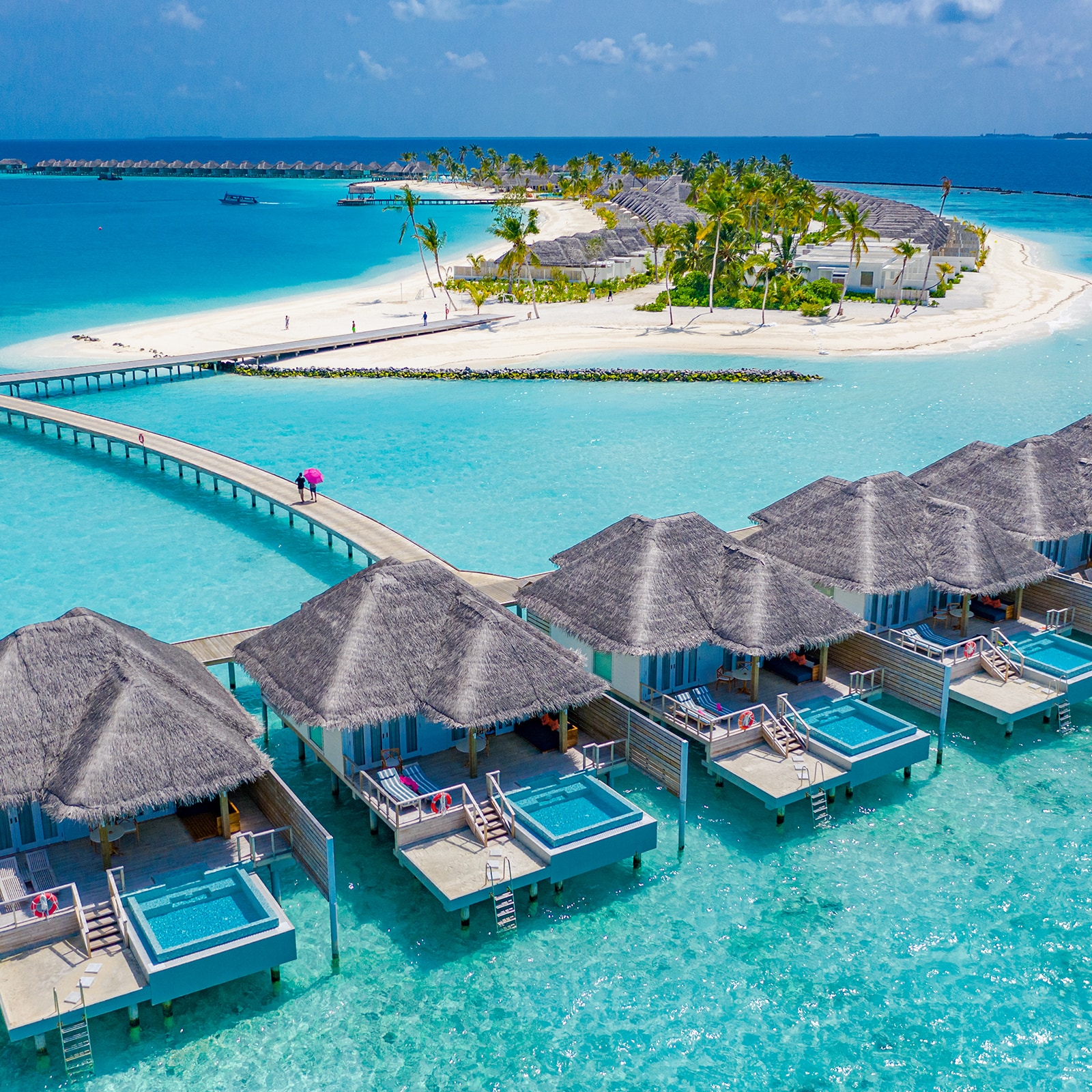 image_search_1669296826341.jpg
