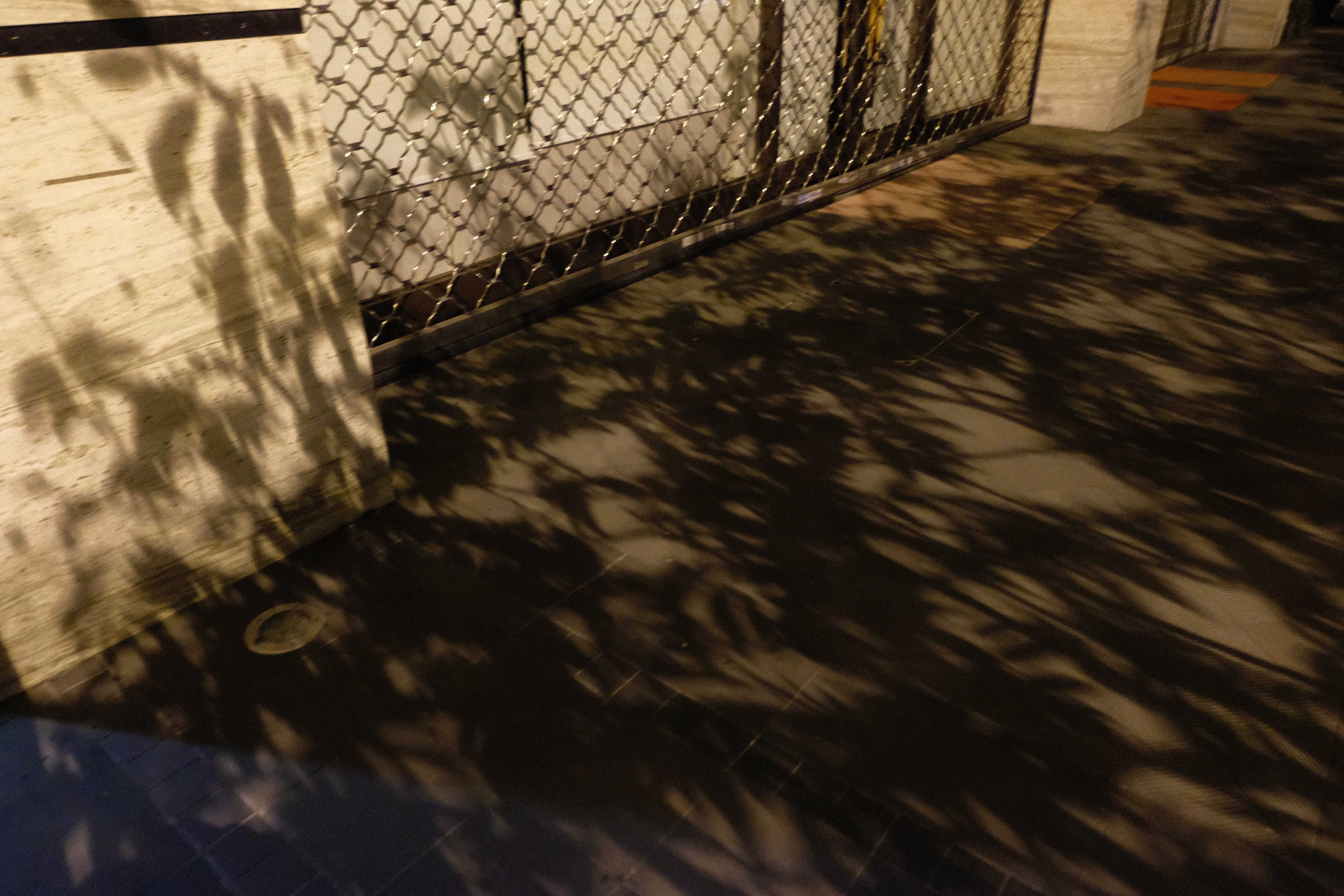 DSCF9650.jpg