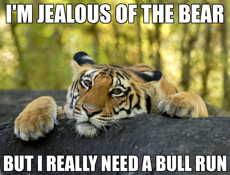 Need a Bull Run.JPG