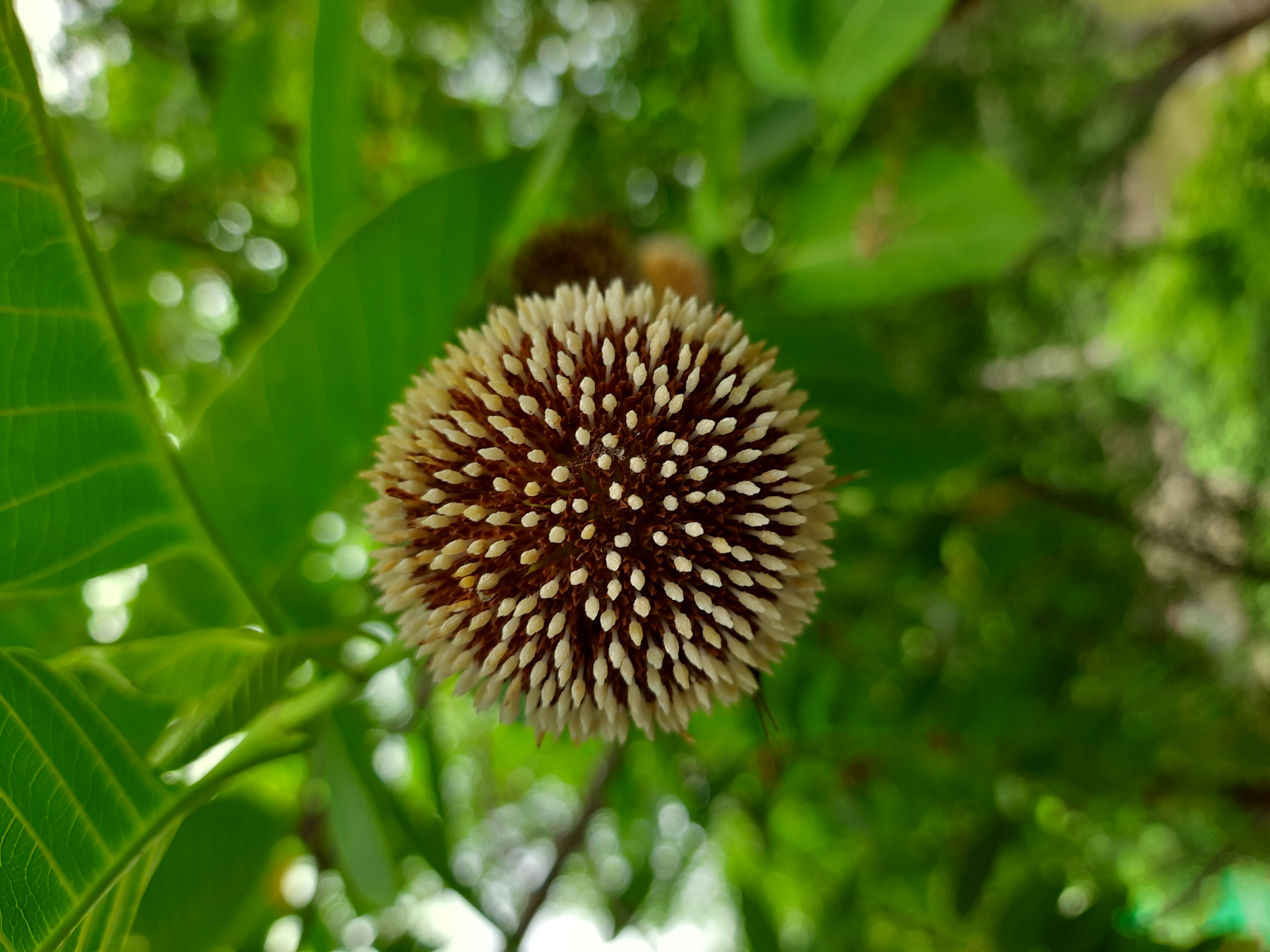 20230729_152037.jpg