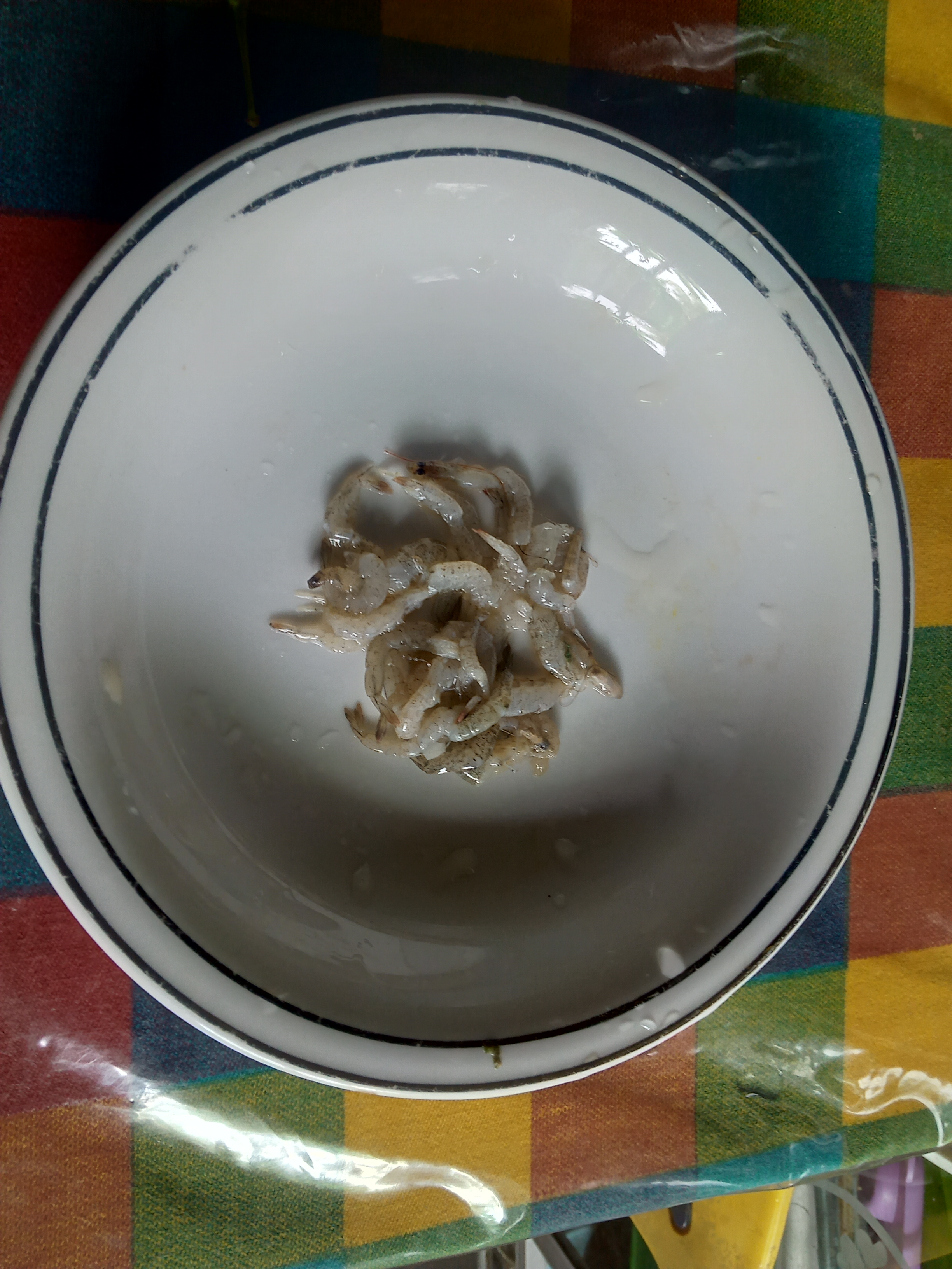 IMG20210715132356.jpg