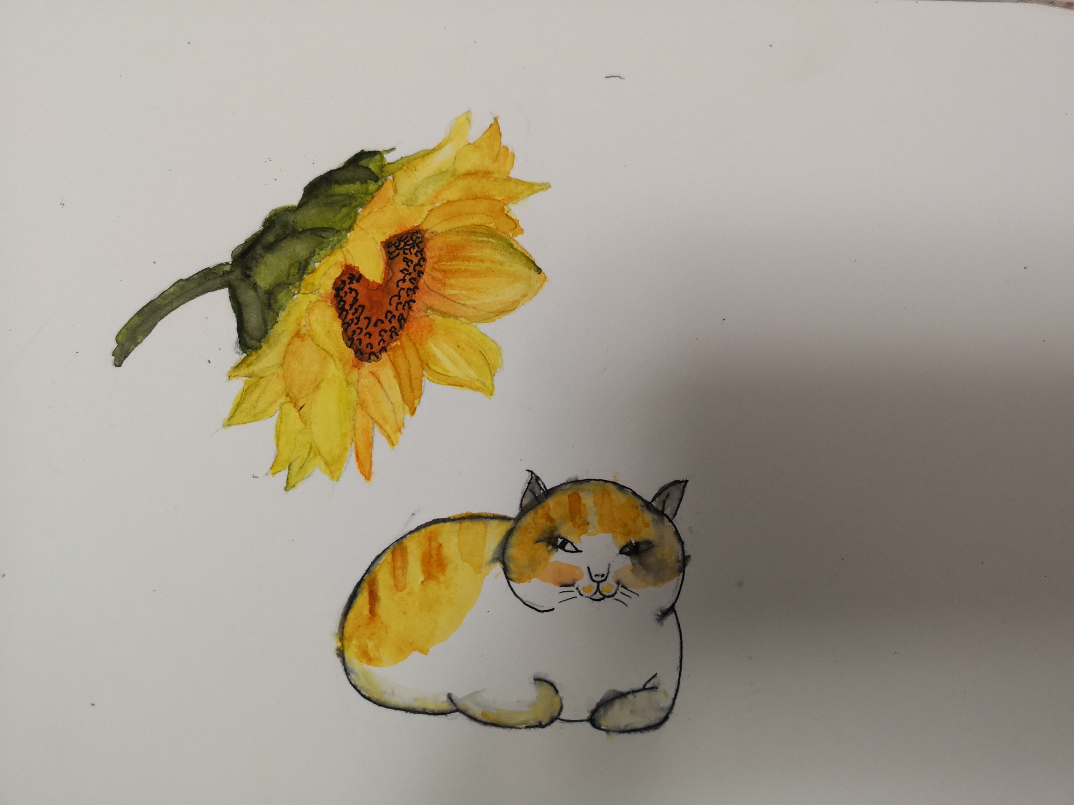 向日葵与猫 | Wife's Drawing Practice