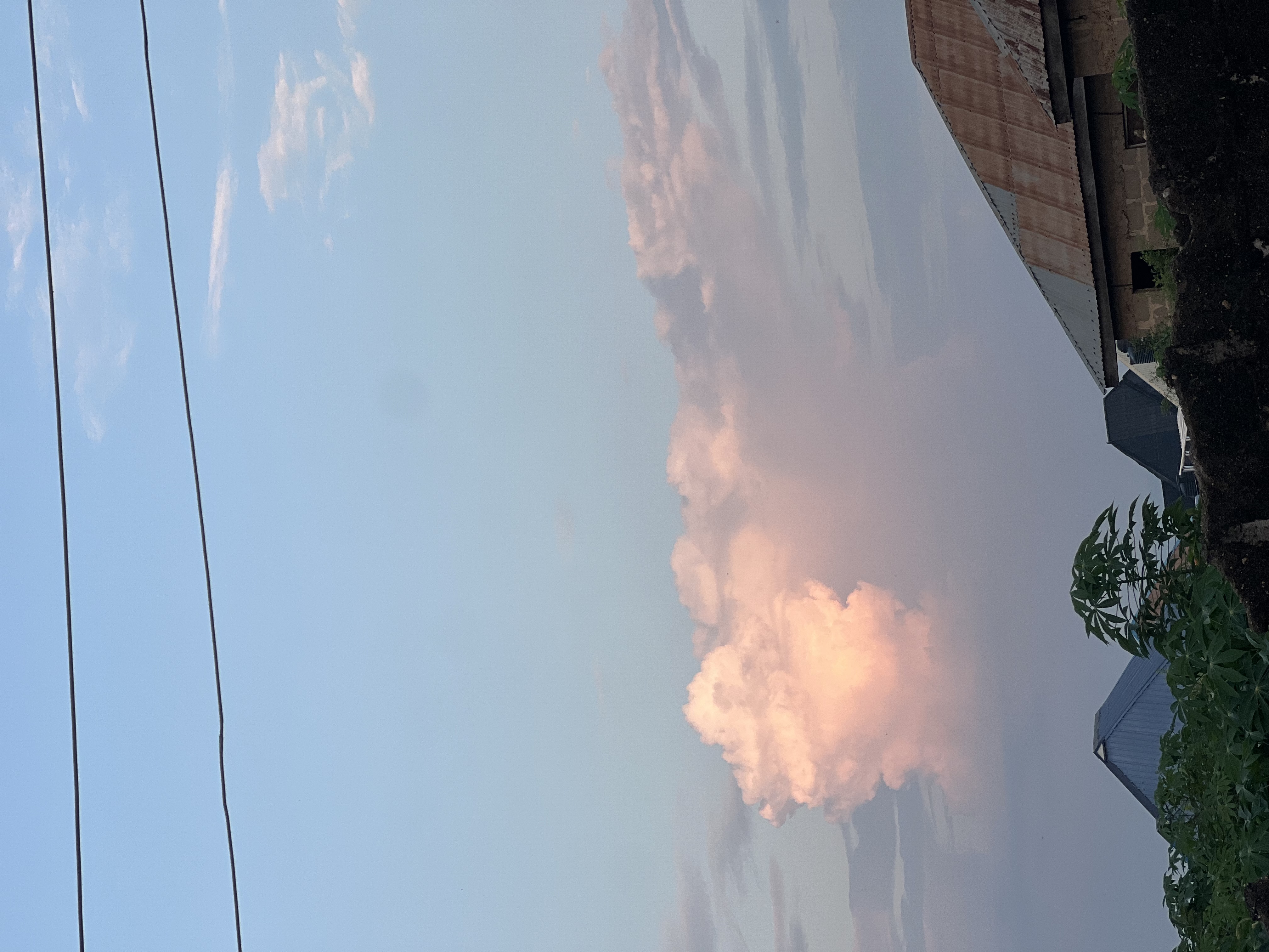 IMG_7193.jpeg