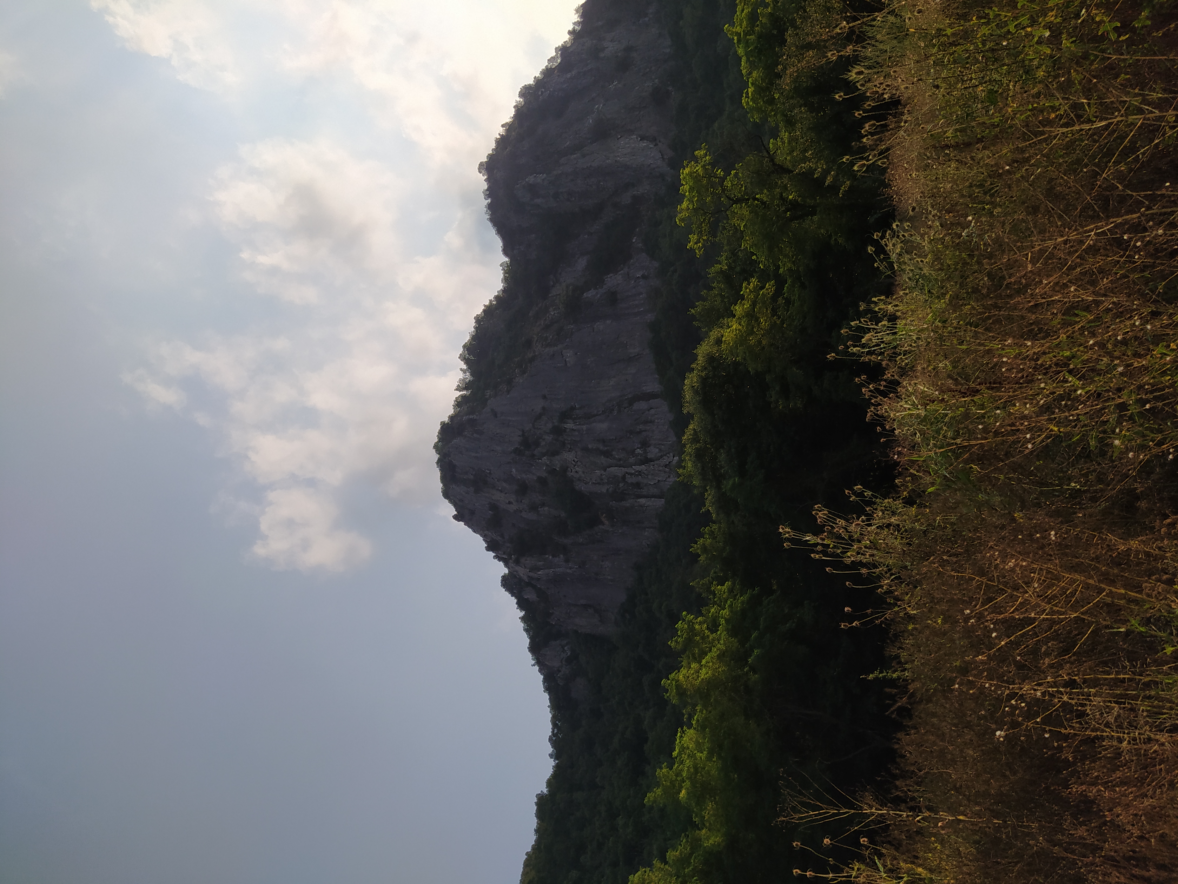 LLandscape (5).jpg