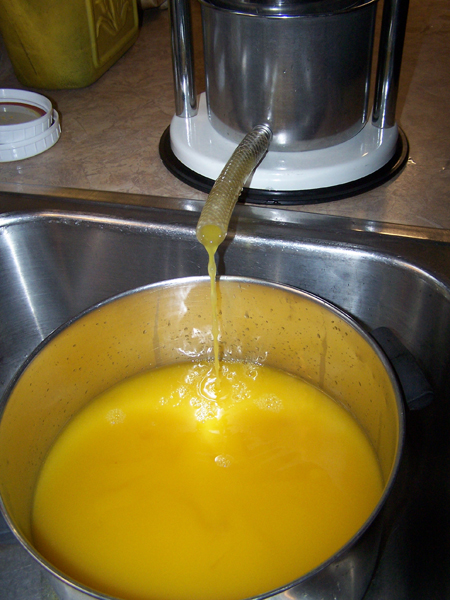Fire cider - pressing the last bit crop November 2019.jpg