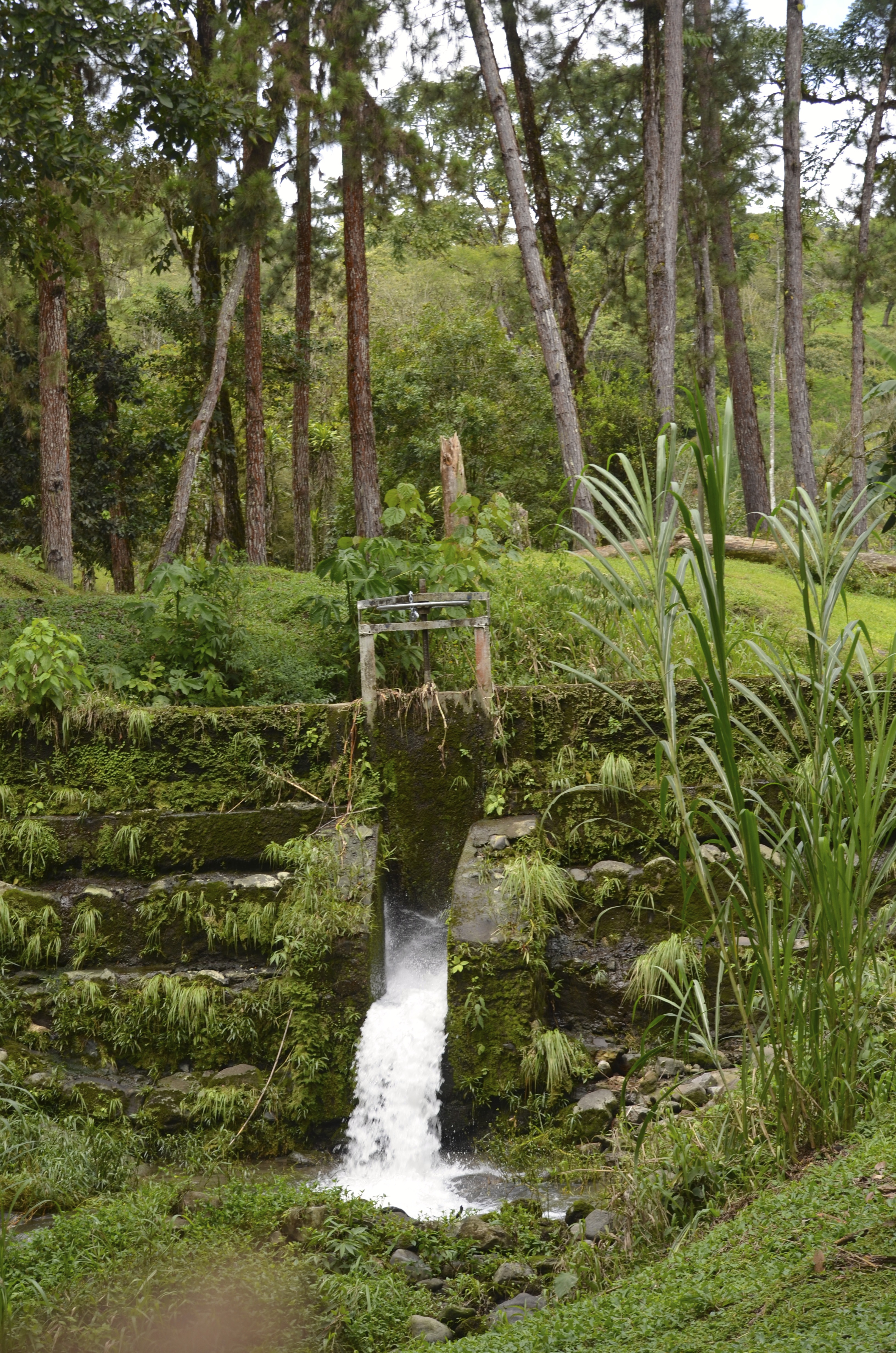 DSC_0242.jpg