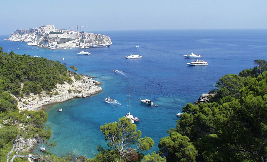 8.-Italian-Biodiversity-Isole-Tremiti.jpg