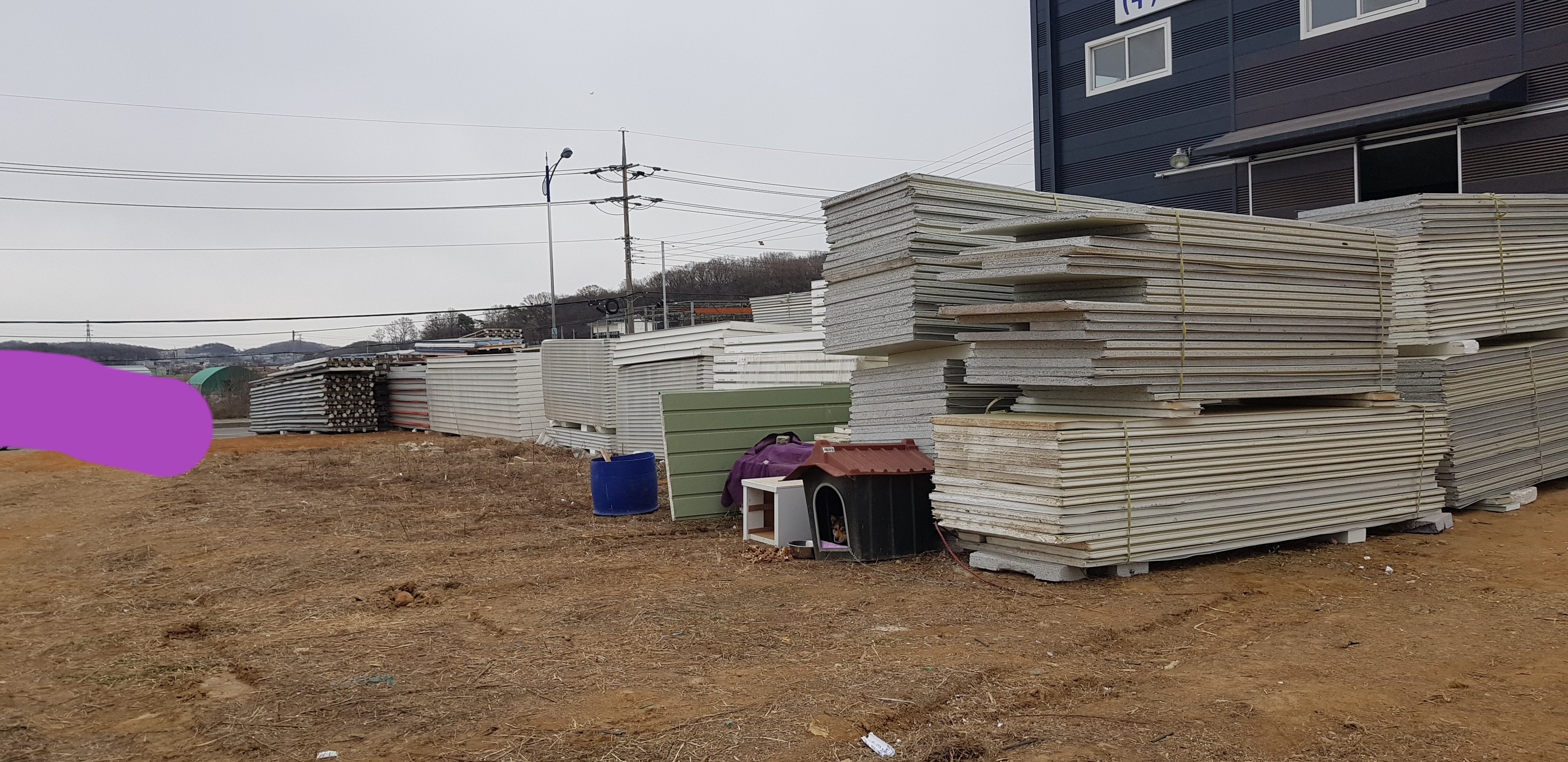 20190410_234344.jpg
