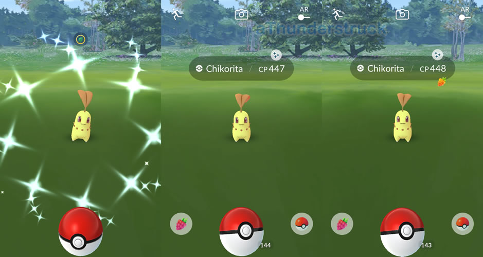 First Shiny Chikorita and shortly after 2nd.jpg