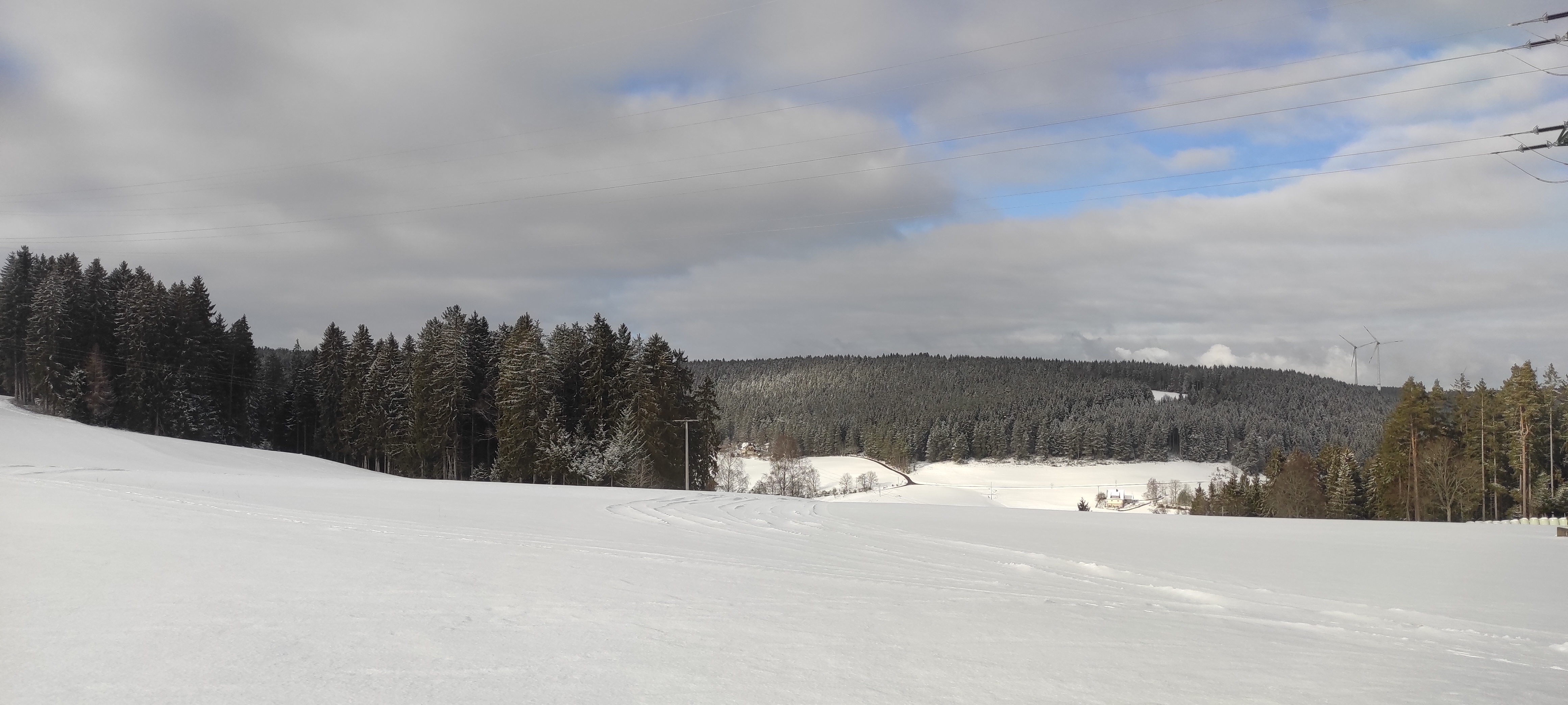 IMG_20220121_122232.jpg