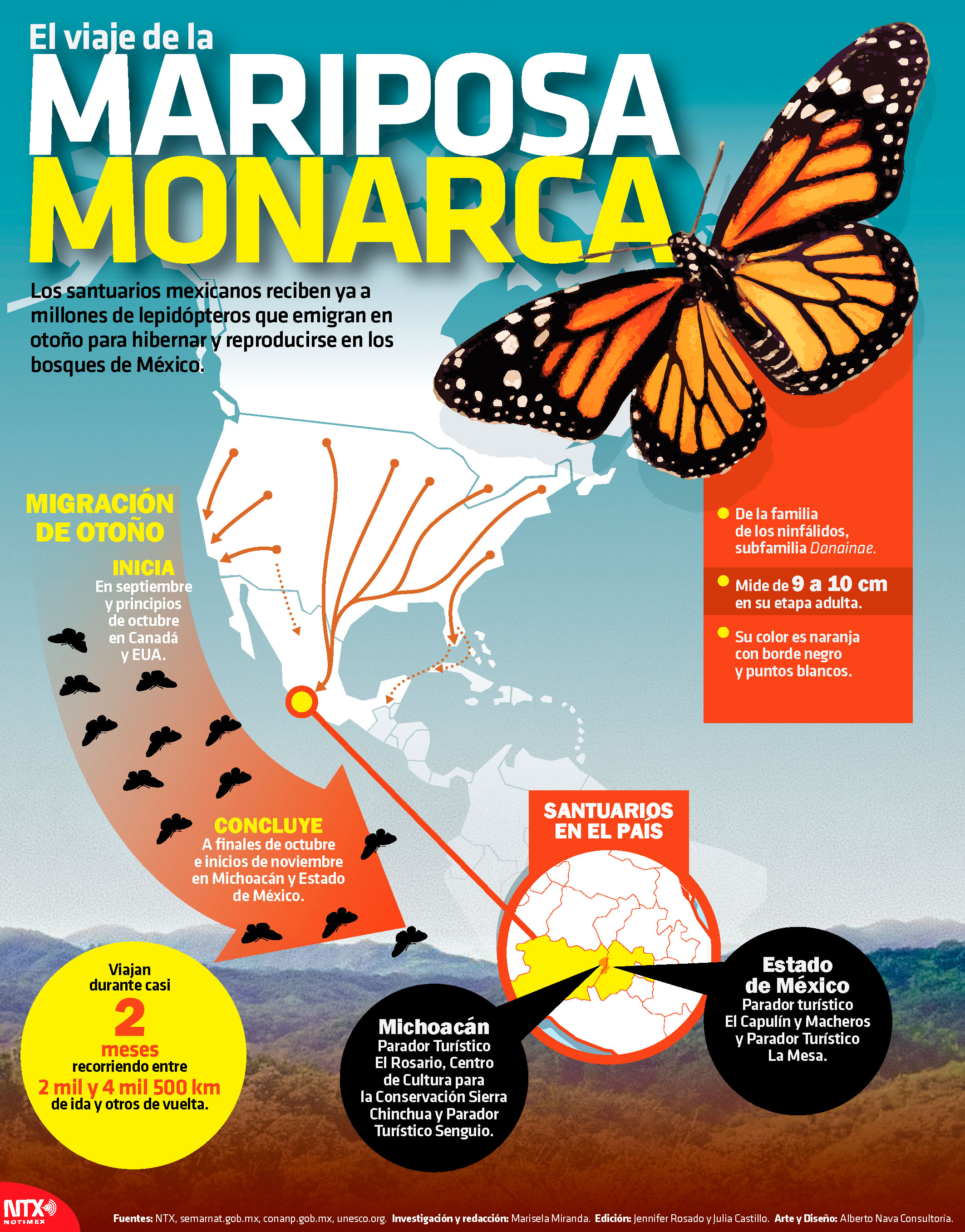 Las Mariposas Monarcas
