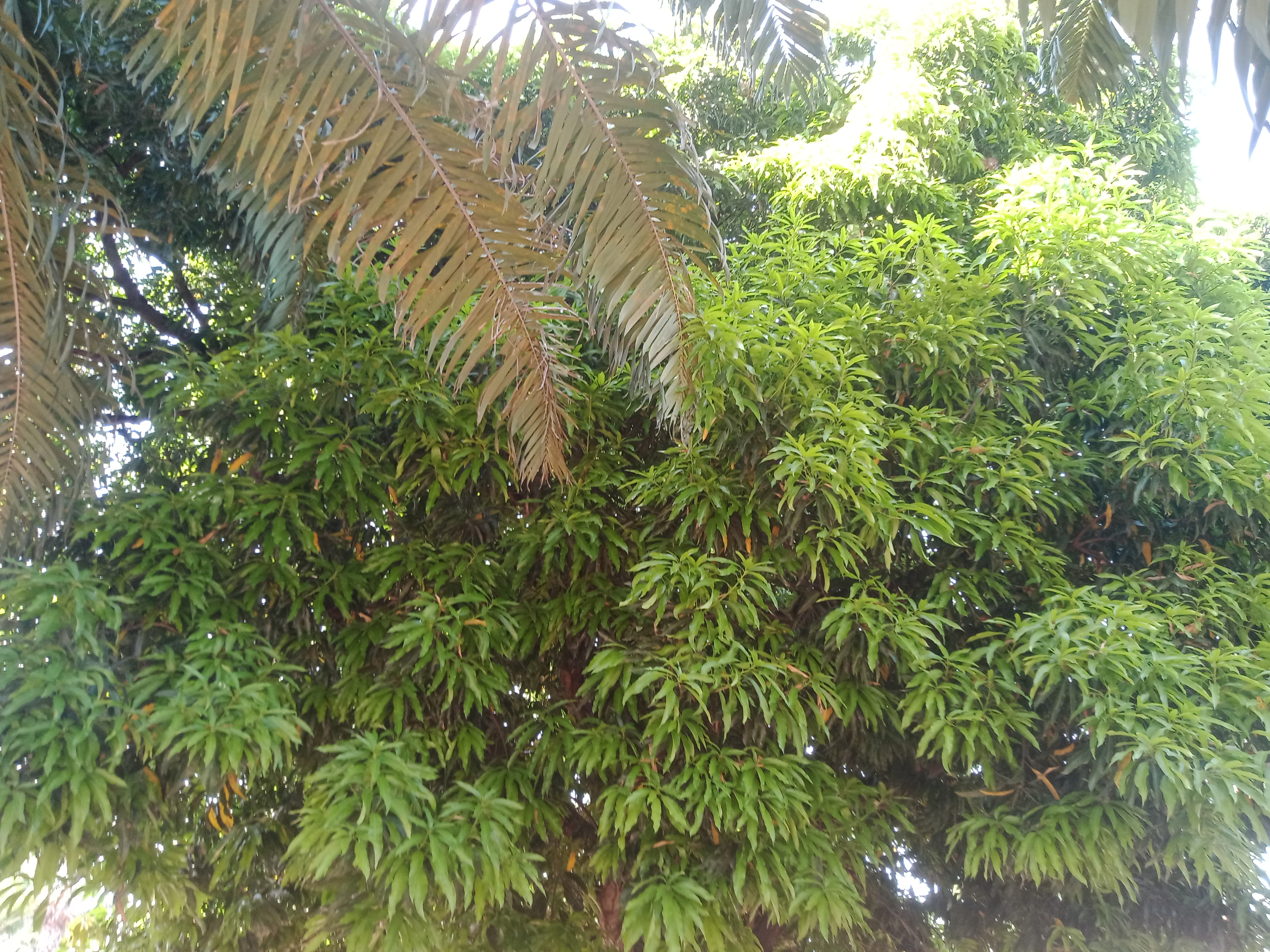 IMG20231130154618.jpg