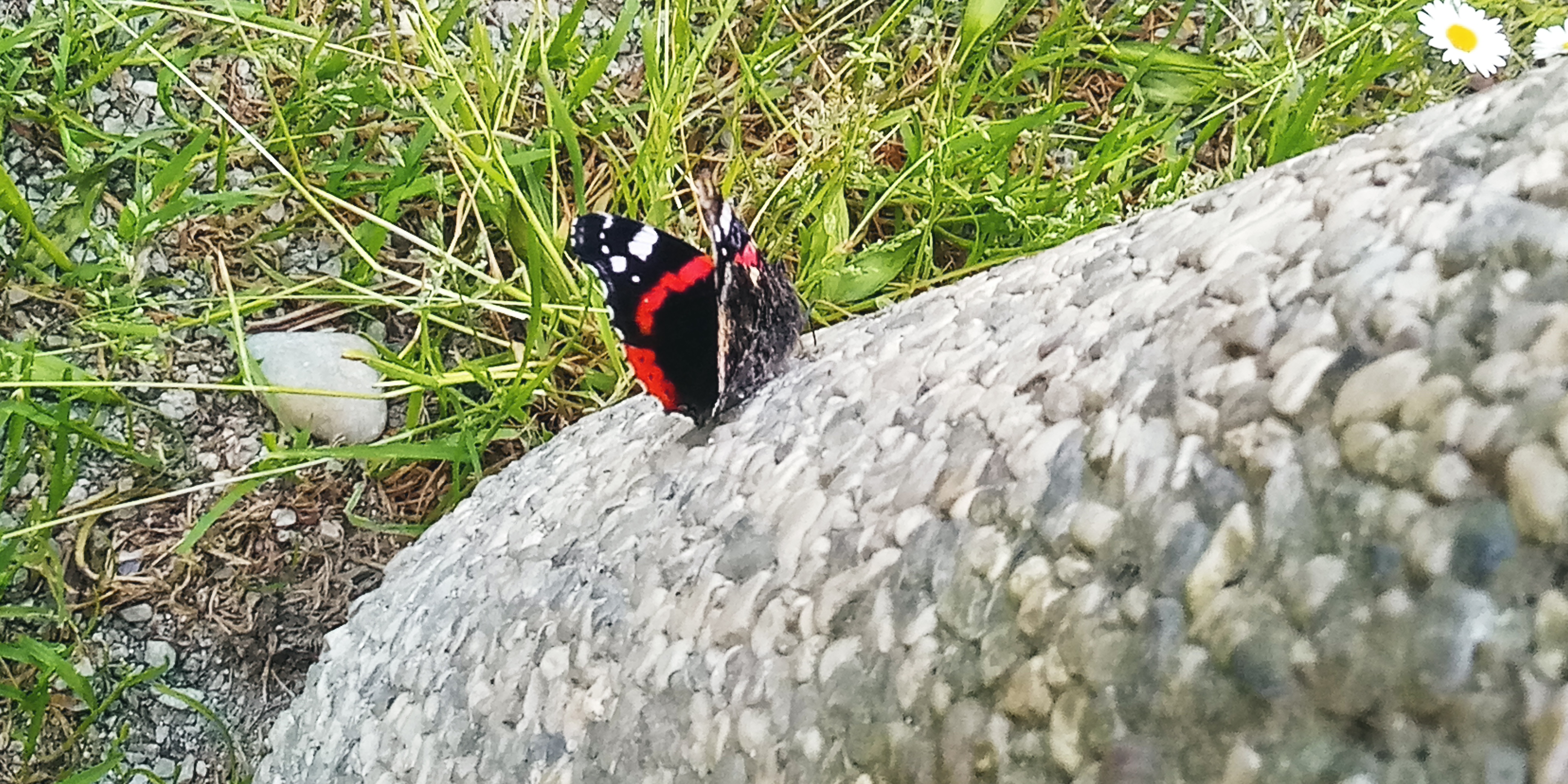 20220513_150302.jpg