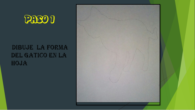 diapositiva gato optico 4.PNG