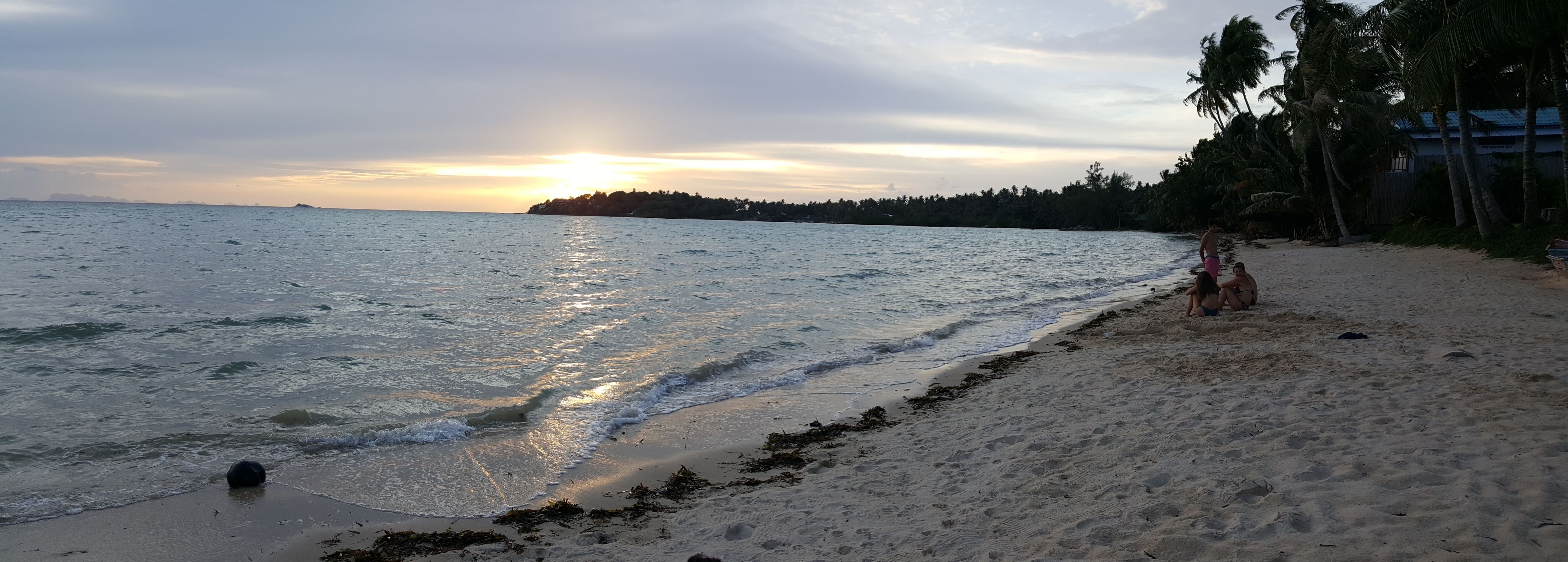 20190827_181426.jpg