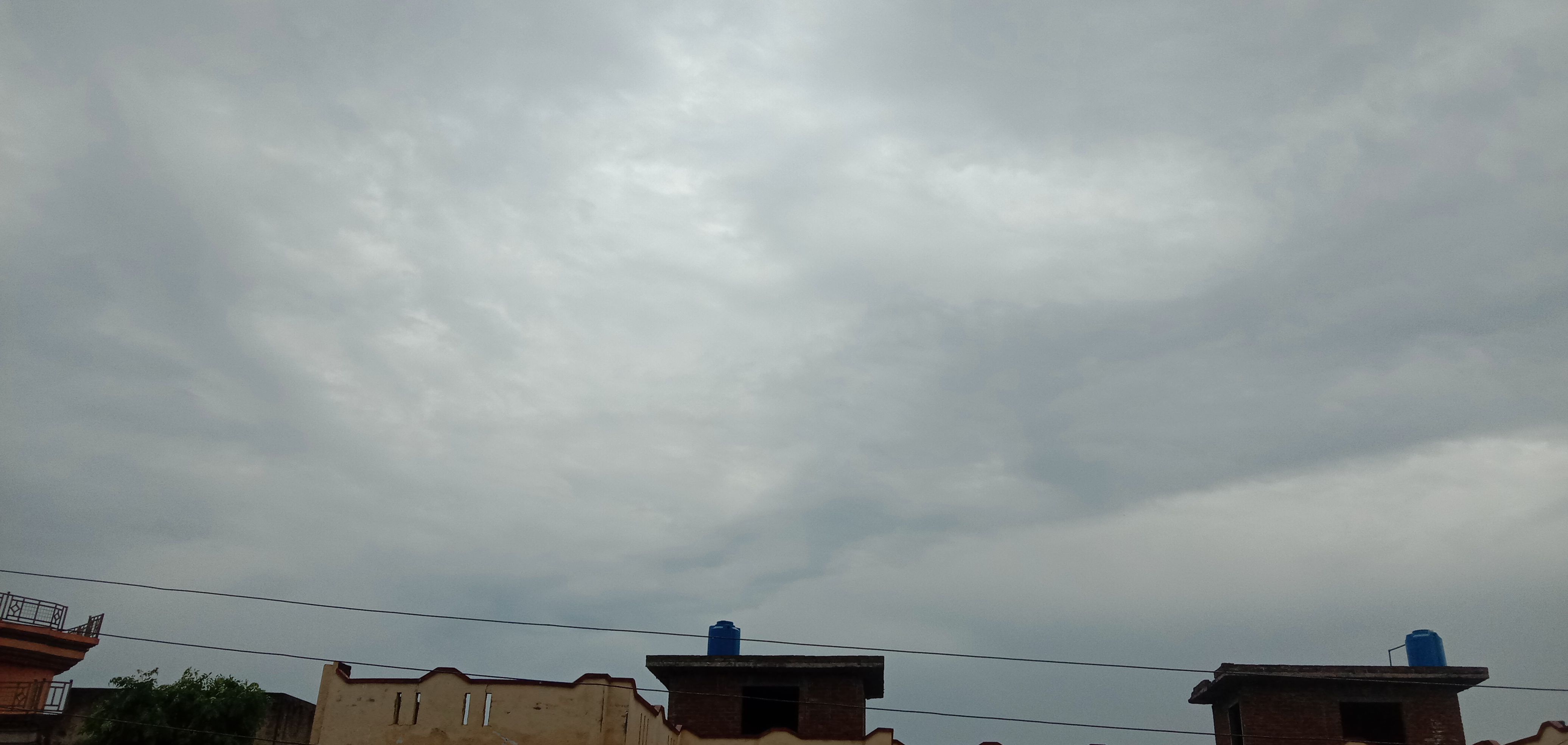 IMG_20230324_144158.jpg